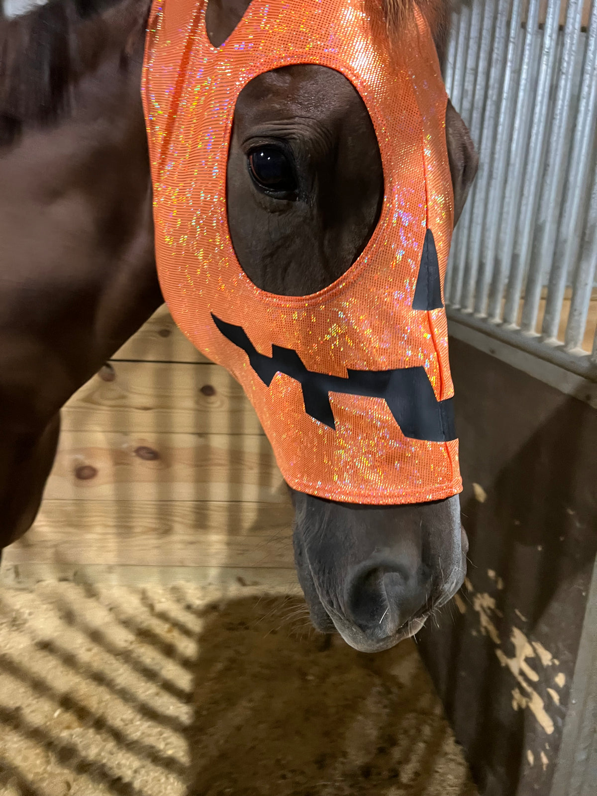 Jack O Lantern Pumpkin Costume Mask for Horses