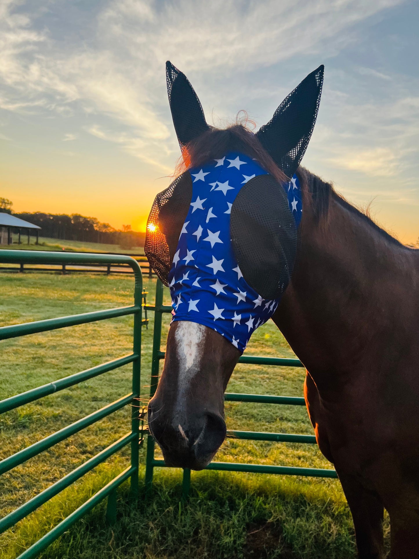 Blue and White Stars Fly Mask Fly Bonnet Riverside Rodeo Shirts
