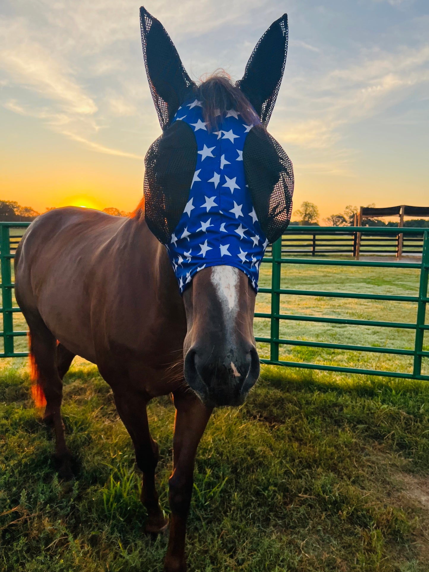 Blue and White Stars Fly Mask Fly Bonnet Riverside Rodeo Shirts