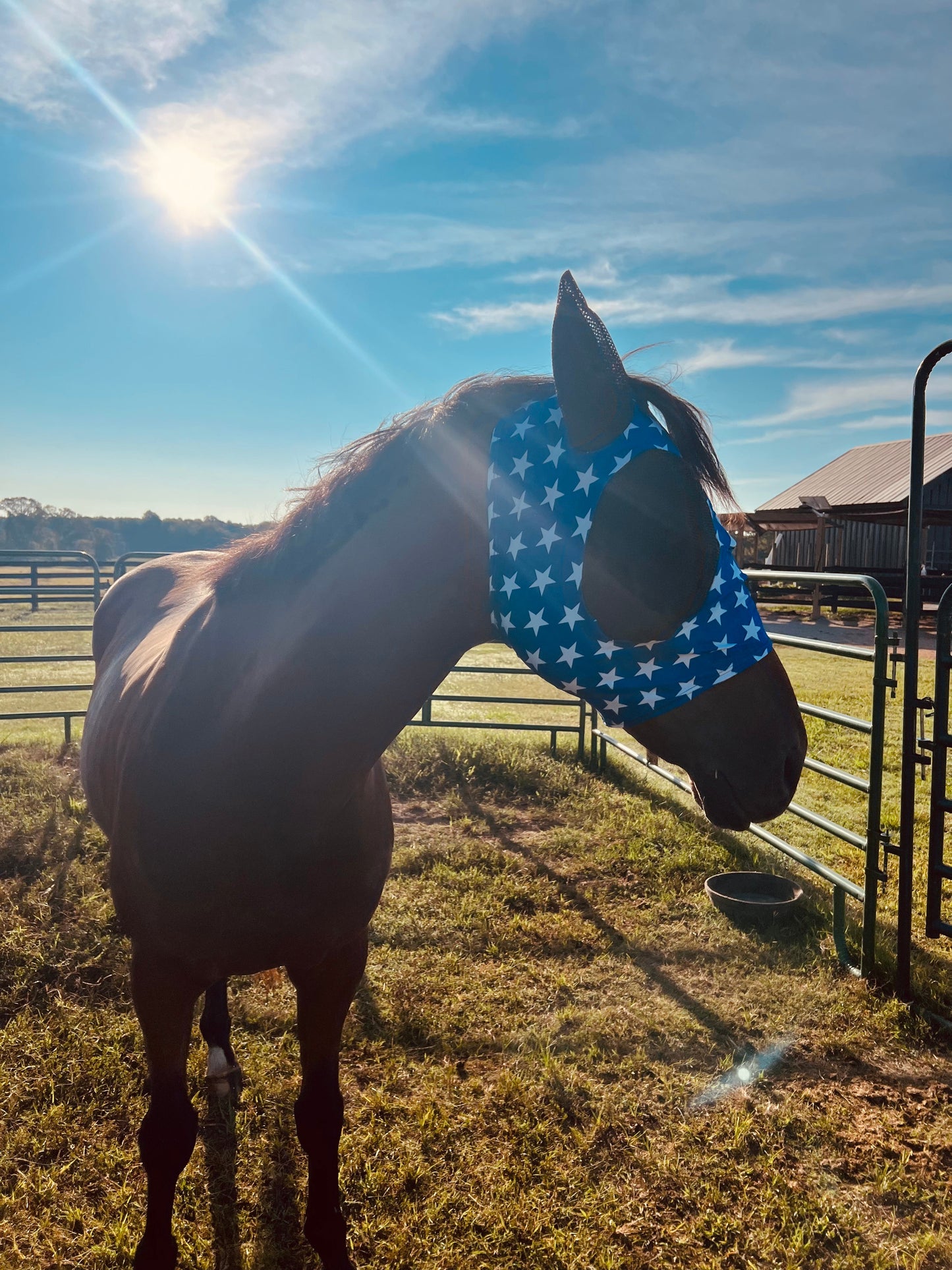 Blue and White Stars Fly Mask Fly Bonnet Riverside Rodeo Shirts