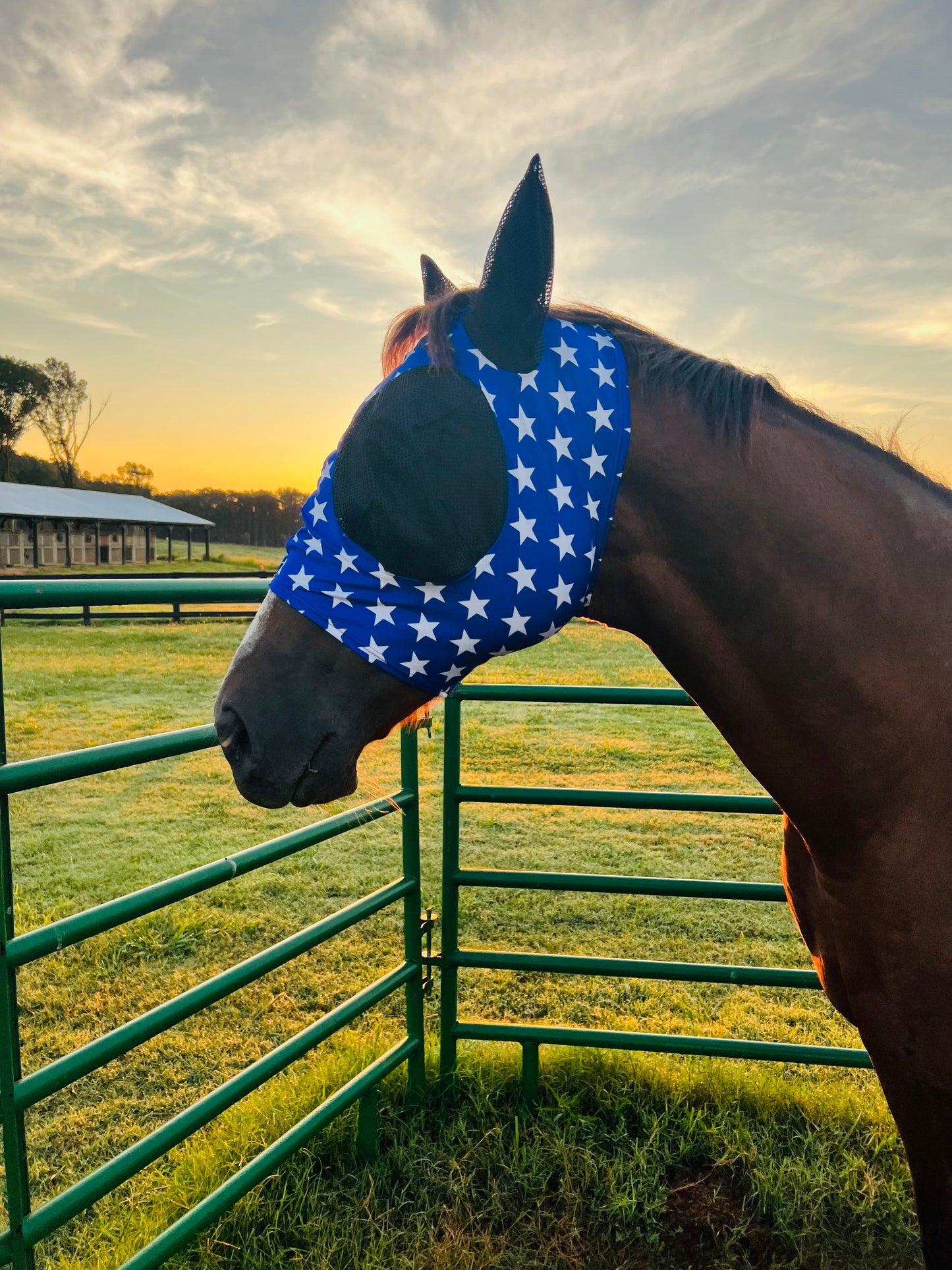Blue and White Stars Fly Mask Fly Bonnet Riverside Rodeo Shirts