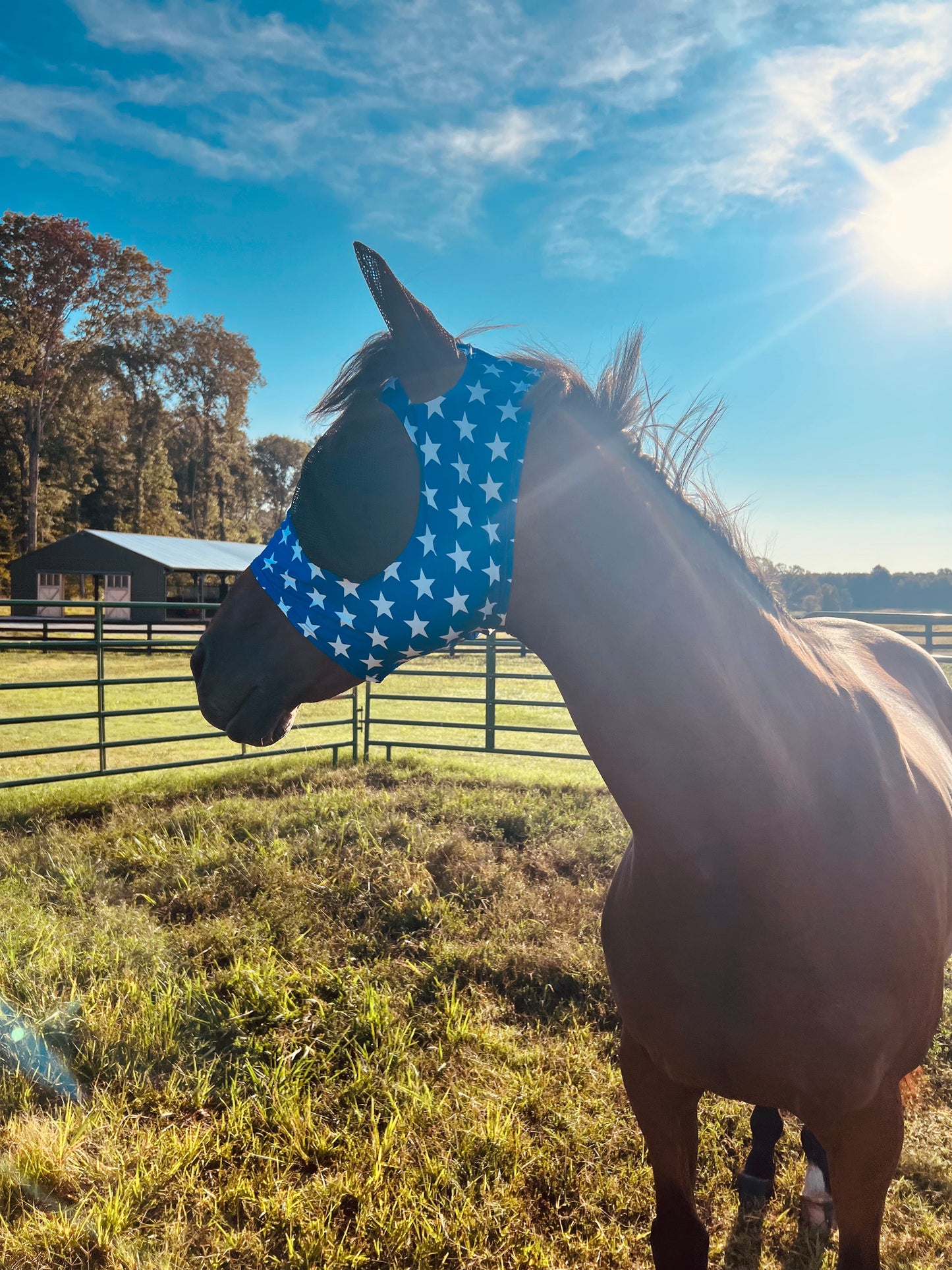 Blue and White Stars Fly Mask Fly Bonnet Riverside Rodeo Shirts