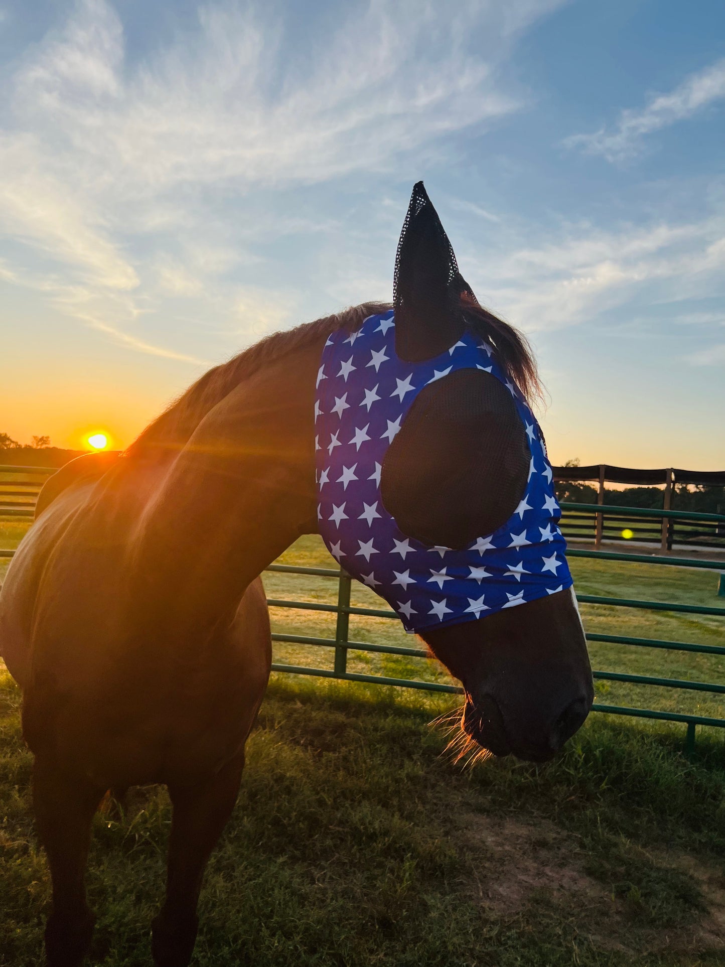 Blue and White Stars Fly Mask Fly Bonnet Riverside Rodeo Shirts