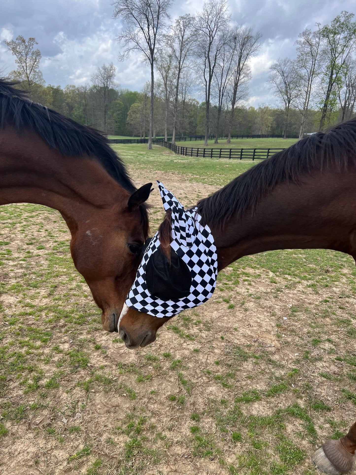 Checkered Fly Mask Fly Bonnet Riverside Rodeo Shirts