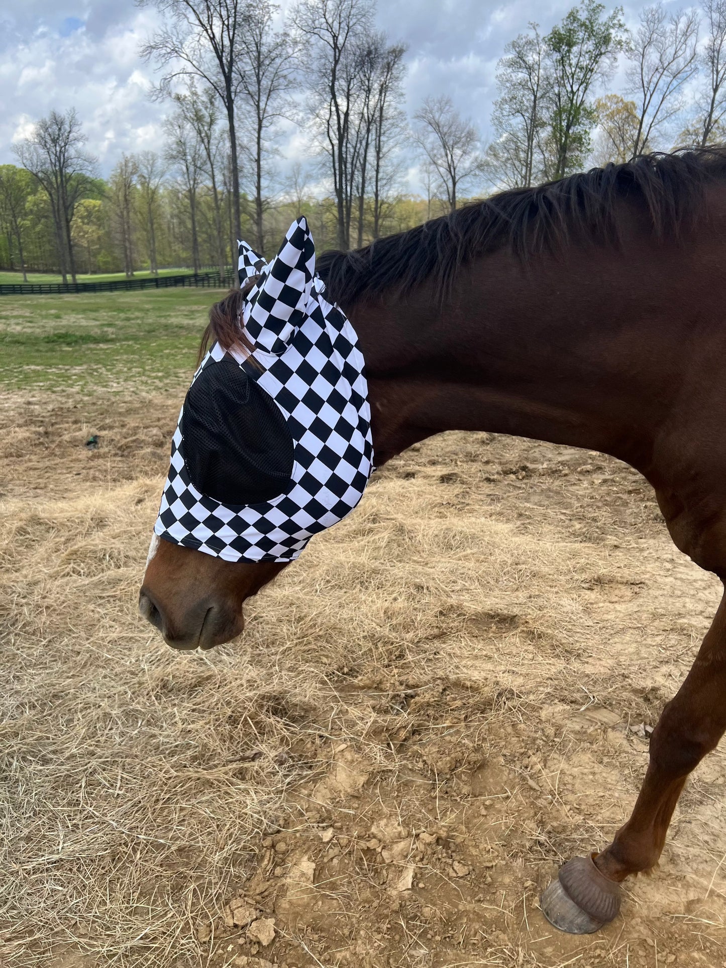 Checkered Fly Mask Fly Bonnet Riverside Rodeo Shirts