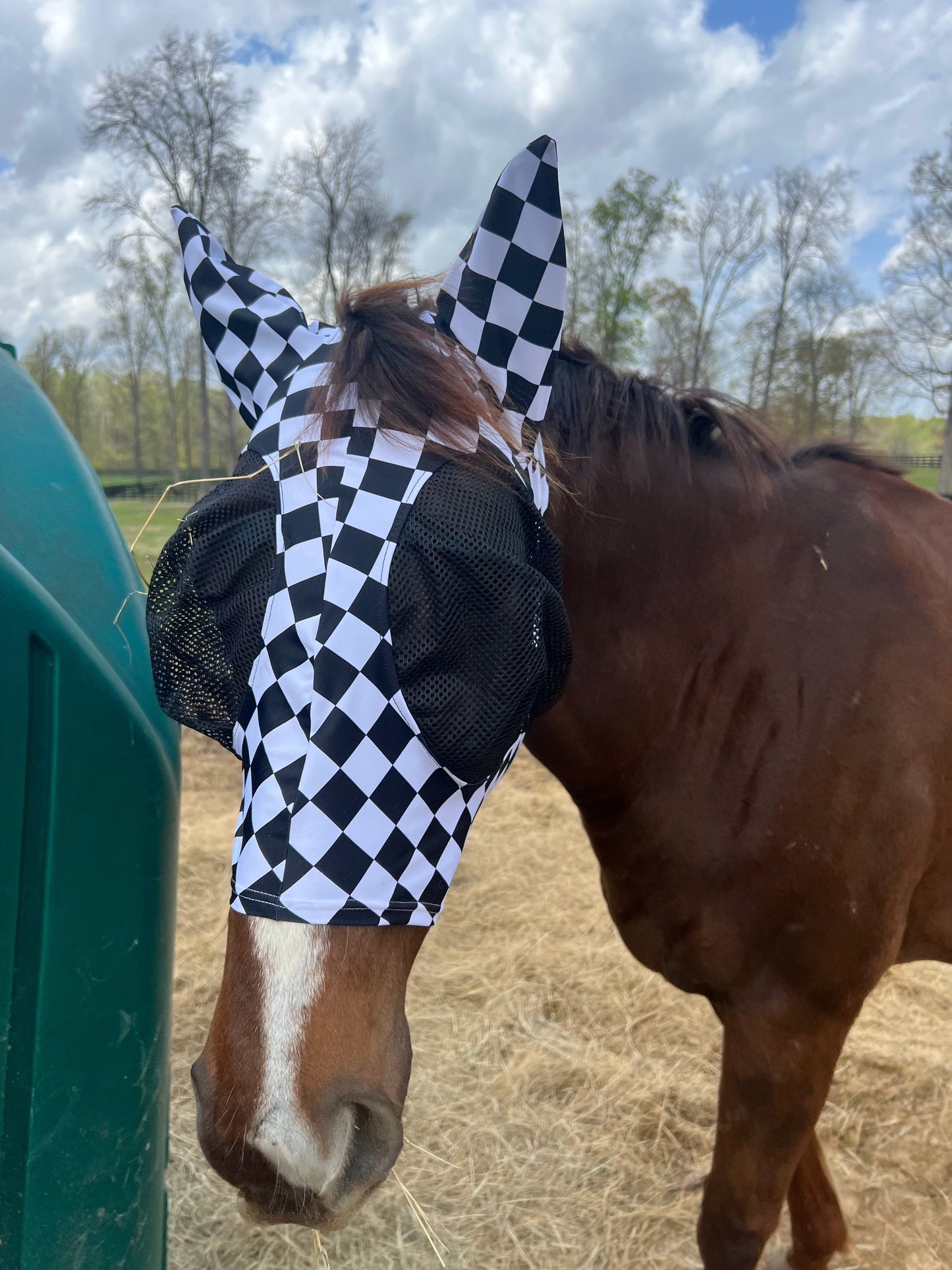 Checkered Fly Mask Fly Bonnet Riverside Rodeo Shirts