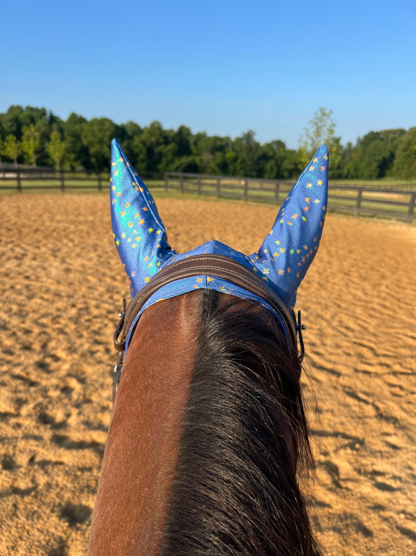 Stardust Fly Bonnet Rodeo Shirt Riverside Rodeo Shirts