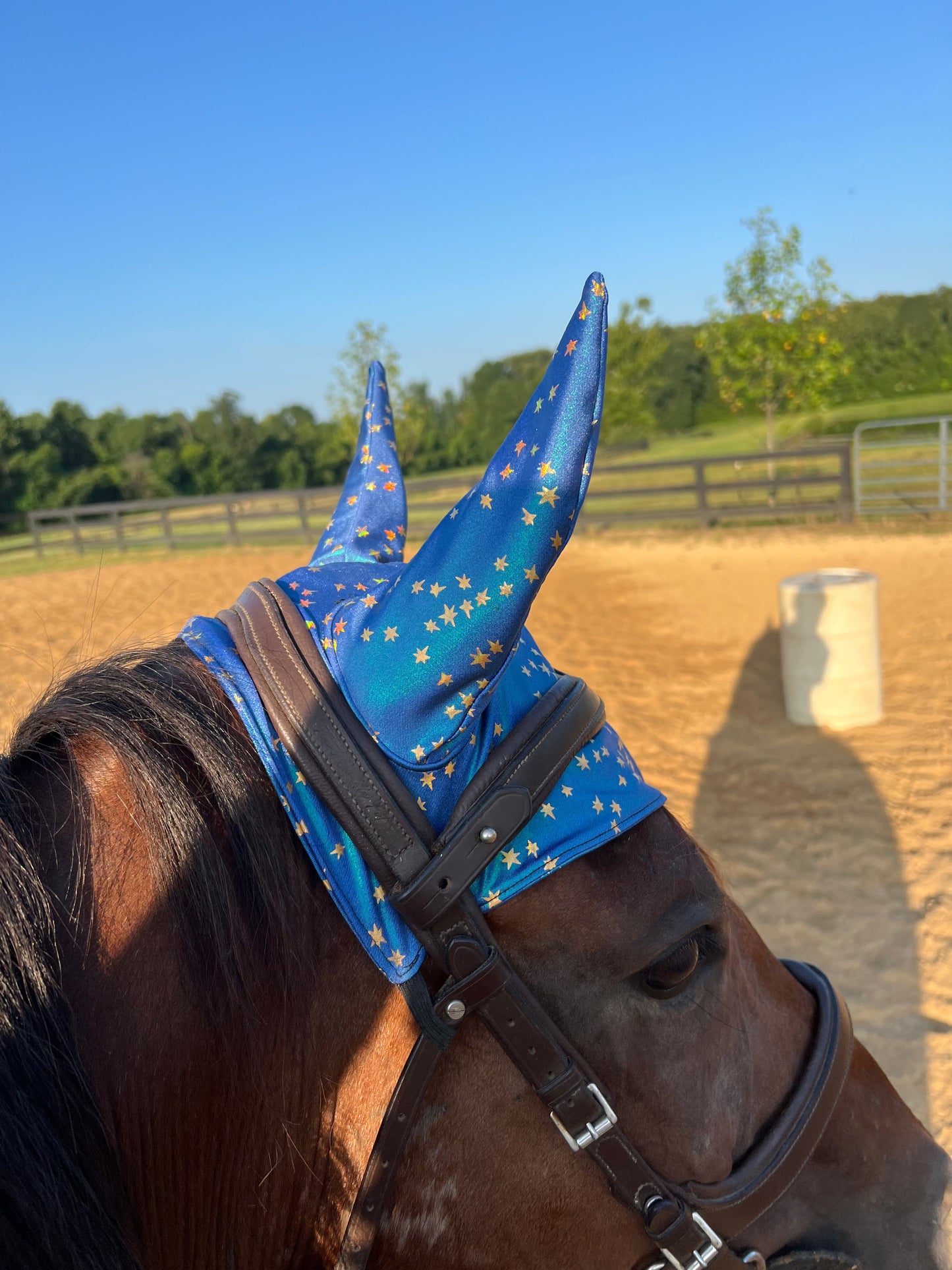 Stardust Fly Bonnet Rodeo Shirt Riverside Rodeo Shirts