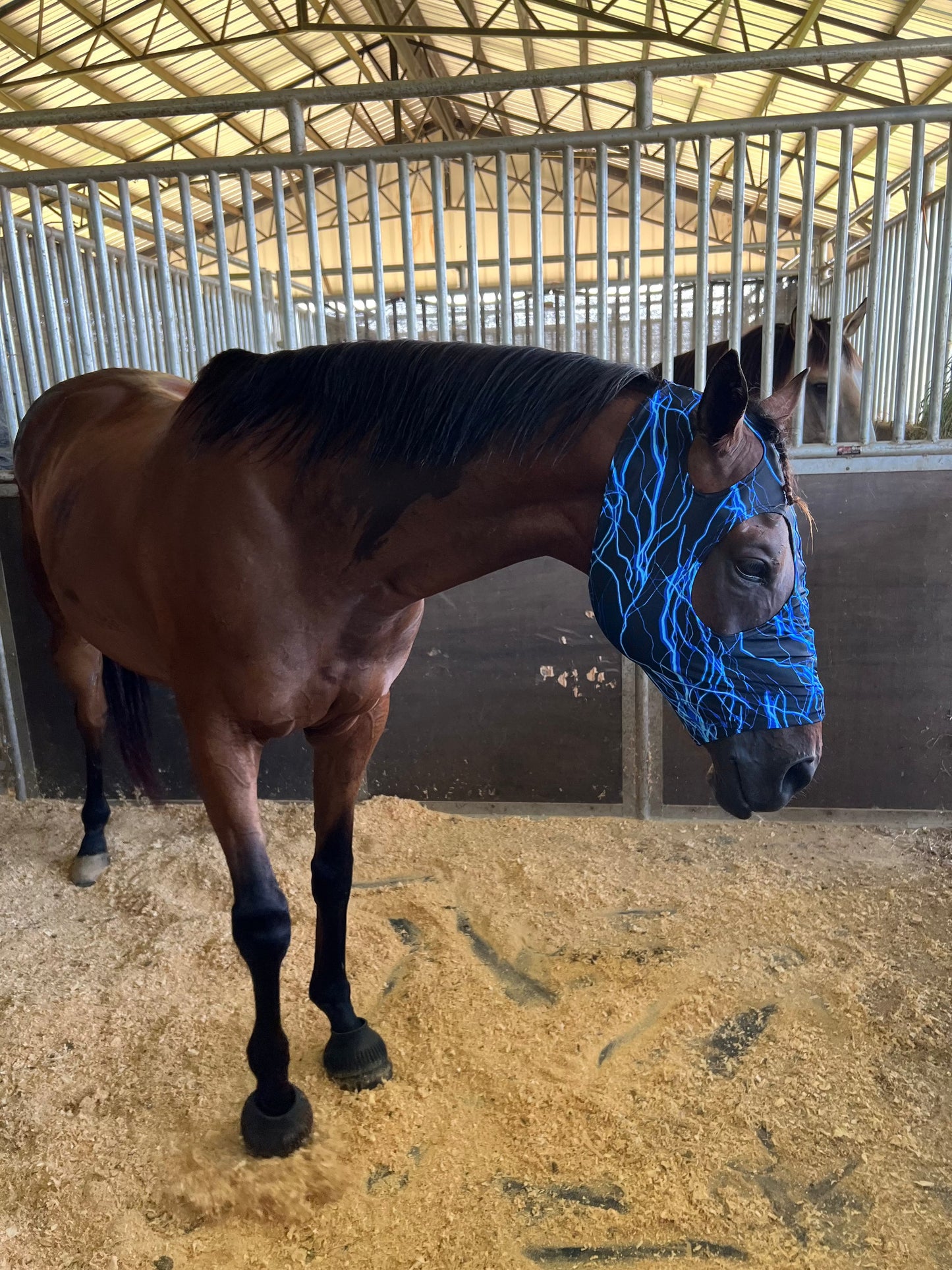 Blue Lightning Spandex Face Mask for Horses Fly Bonnet Riverside Rodeo Shirts