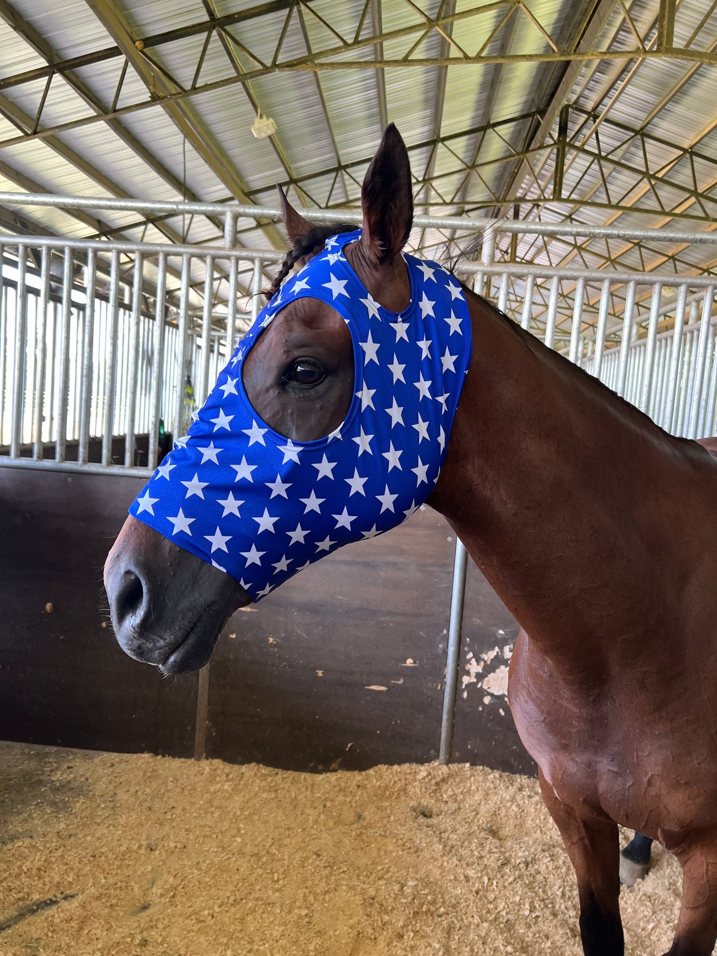 Blue and White Star Spandex Face Mask for Horses Fly Bonnet Riverside Rodeo Shirts