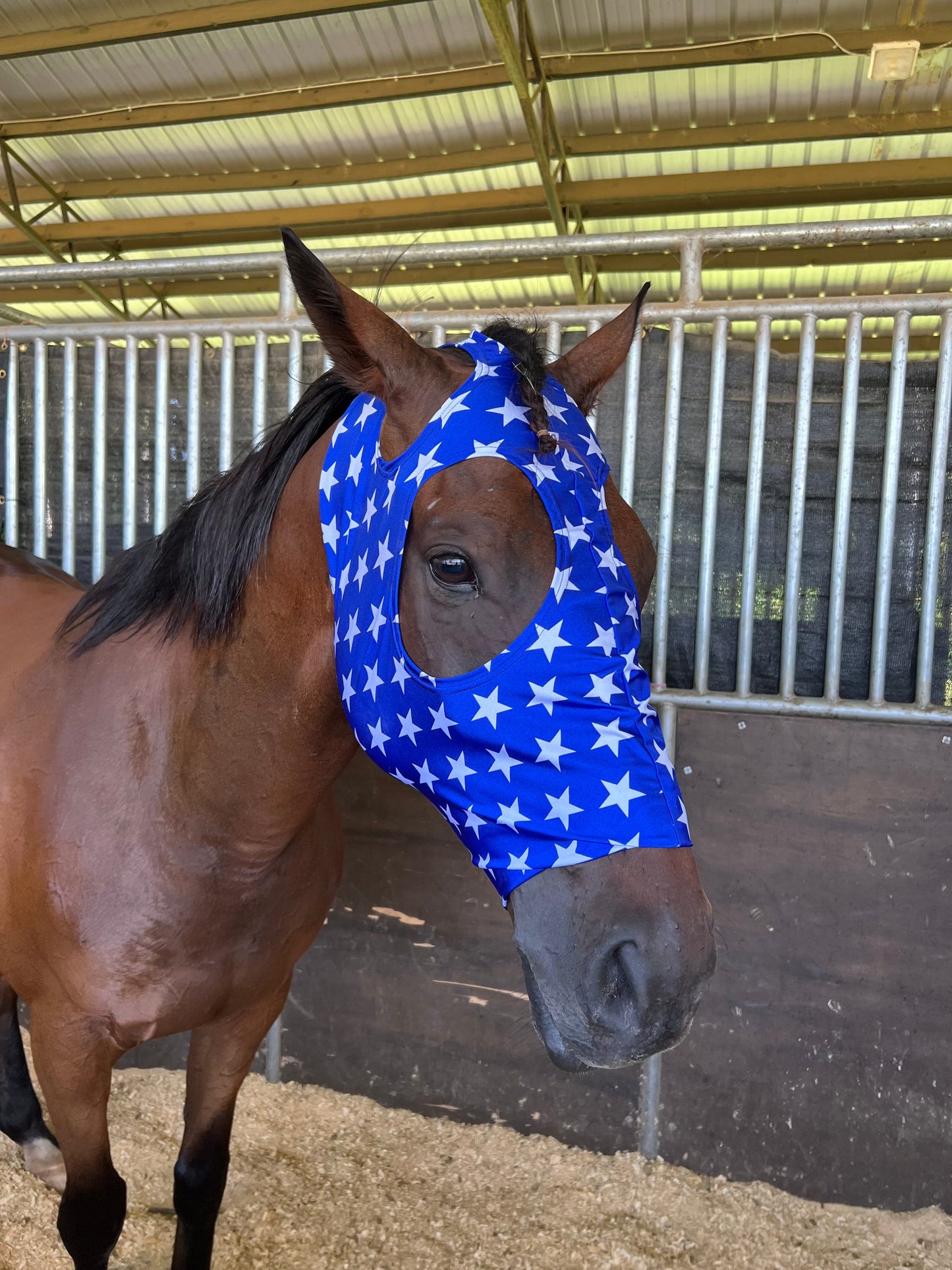 Blue and White Star Spandex Face Mask for Horses Fly Bonnet Riverside Rodeo Shirts