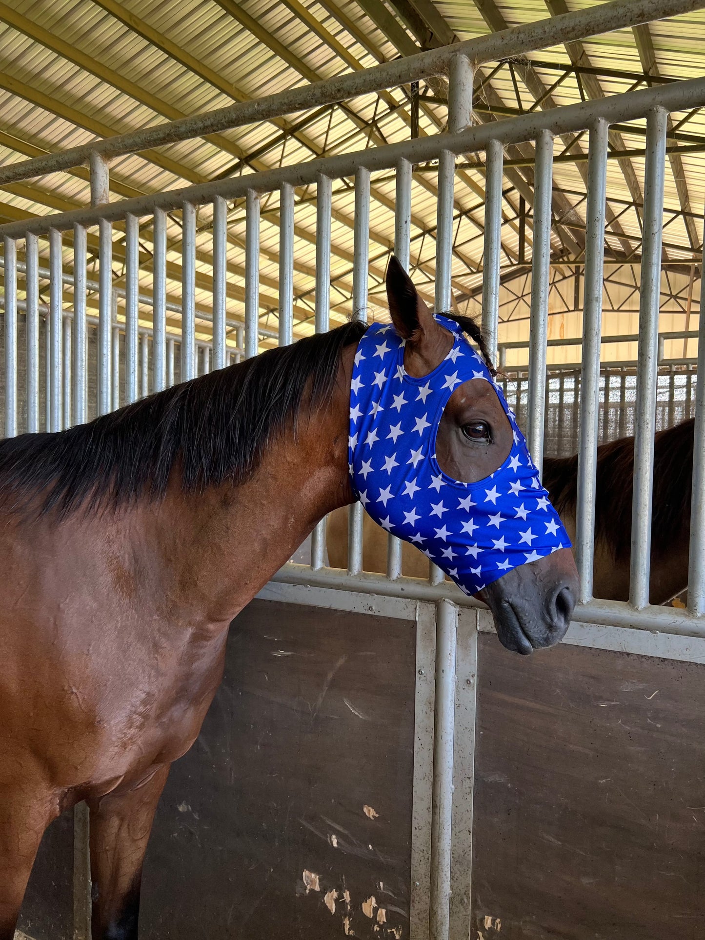 Blue and White Star Spandex Face Mask for Horses Fly Bonnet Riverside Rodeo Shirts