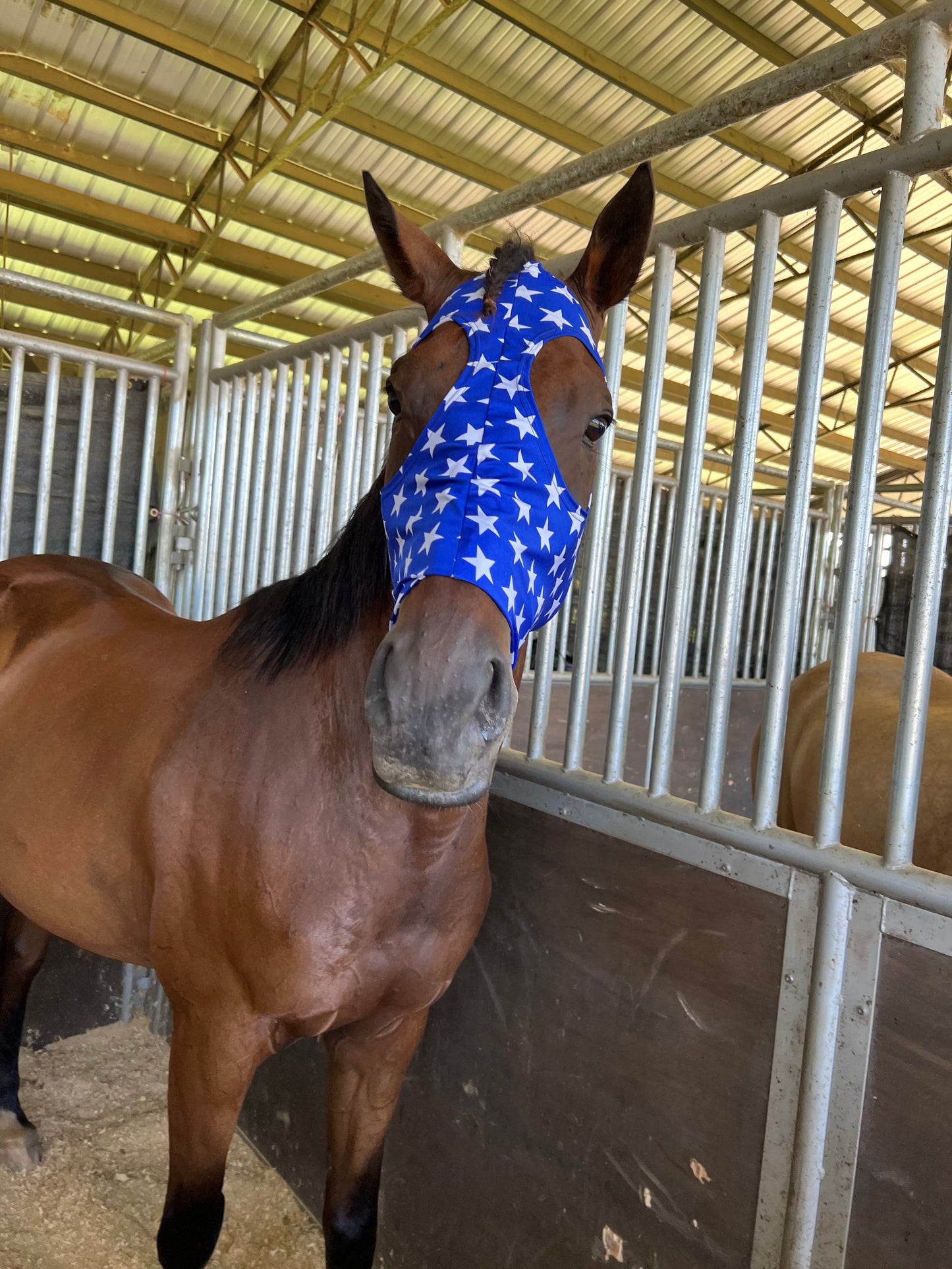 Blue and White Star Spandex Face Mask for Horses Fly Bonnet Riverside Rodeo Shirts