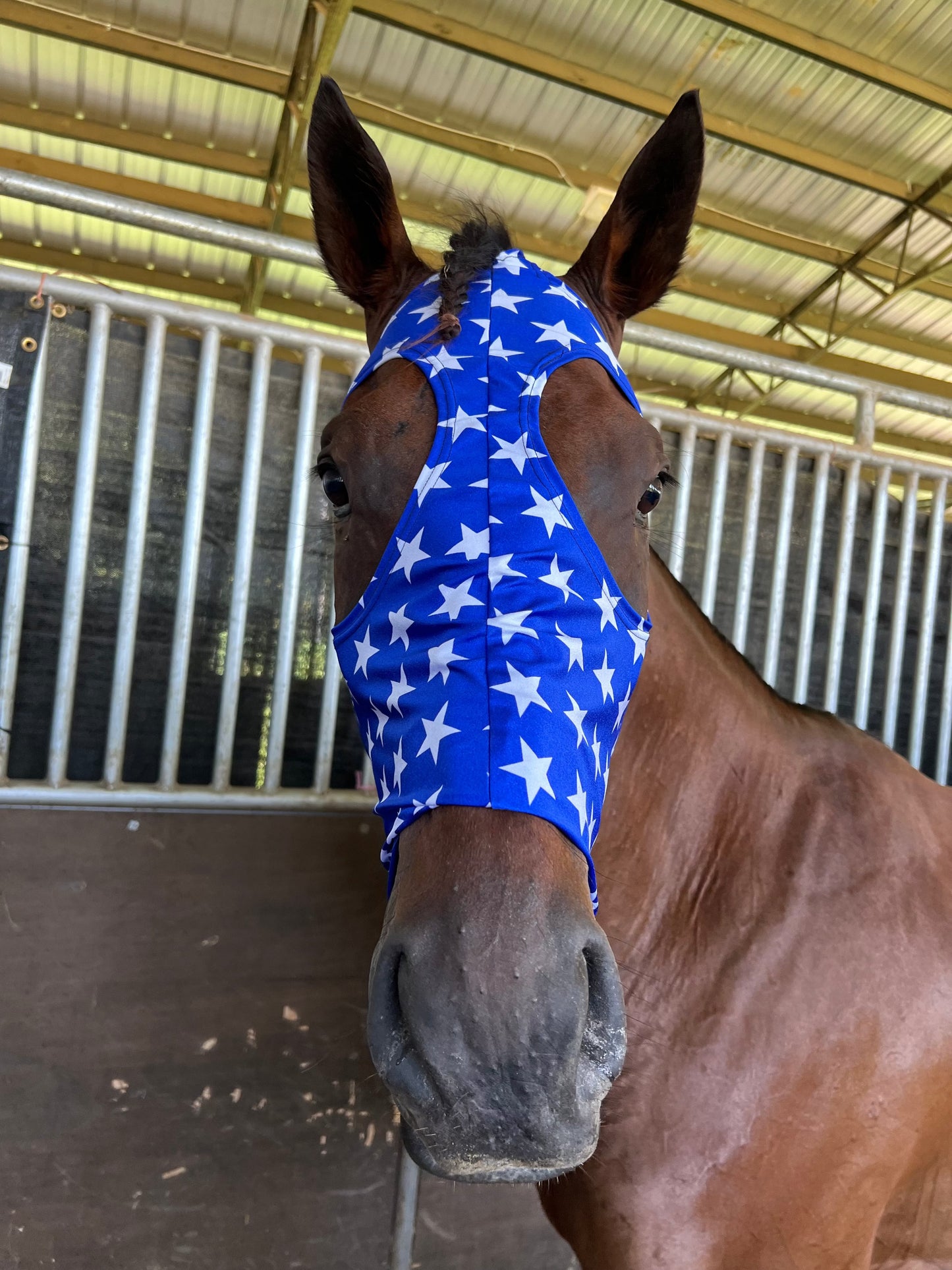 Blue and White Star Spandex Face Mask for Horses Fly Bonnet Riverside Rodeo Shirts