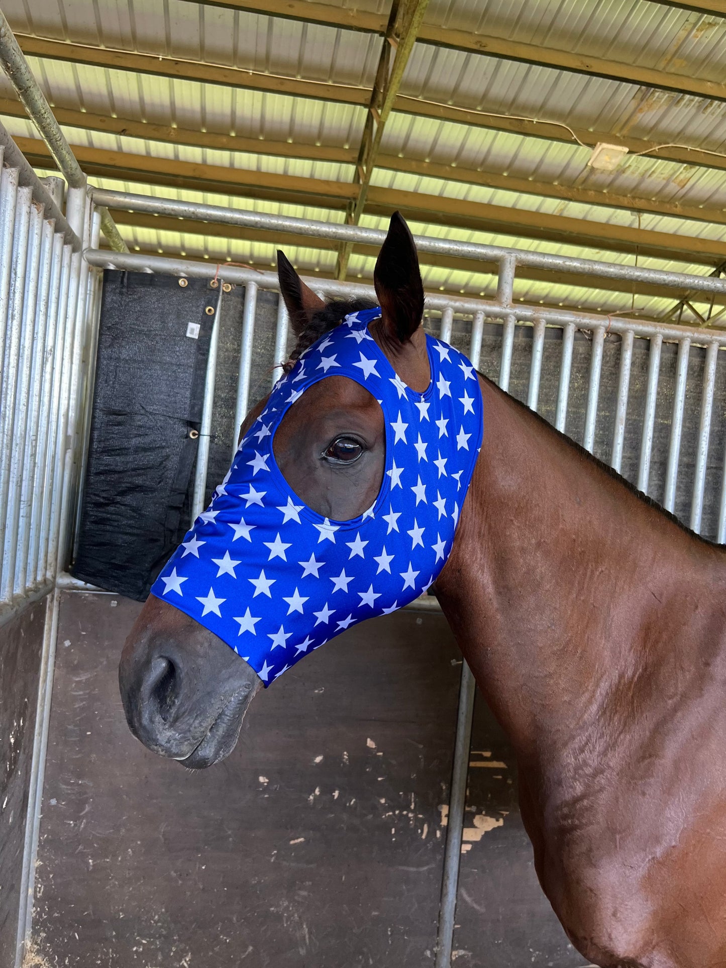 Blue and White Star Spandex Face Mask for Horses Fly Bonnet Riverside Rodeo Shirts
