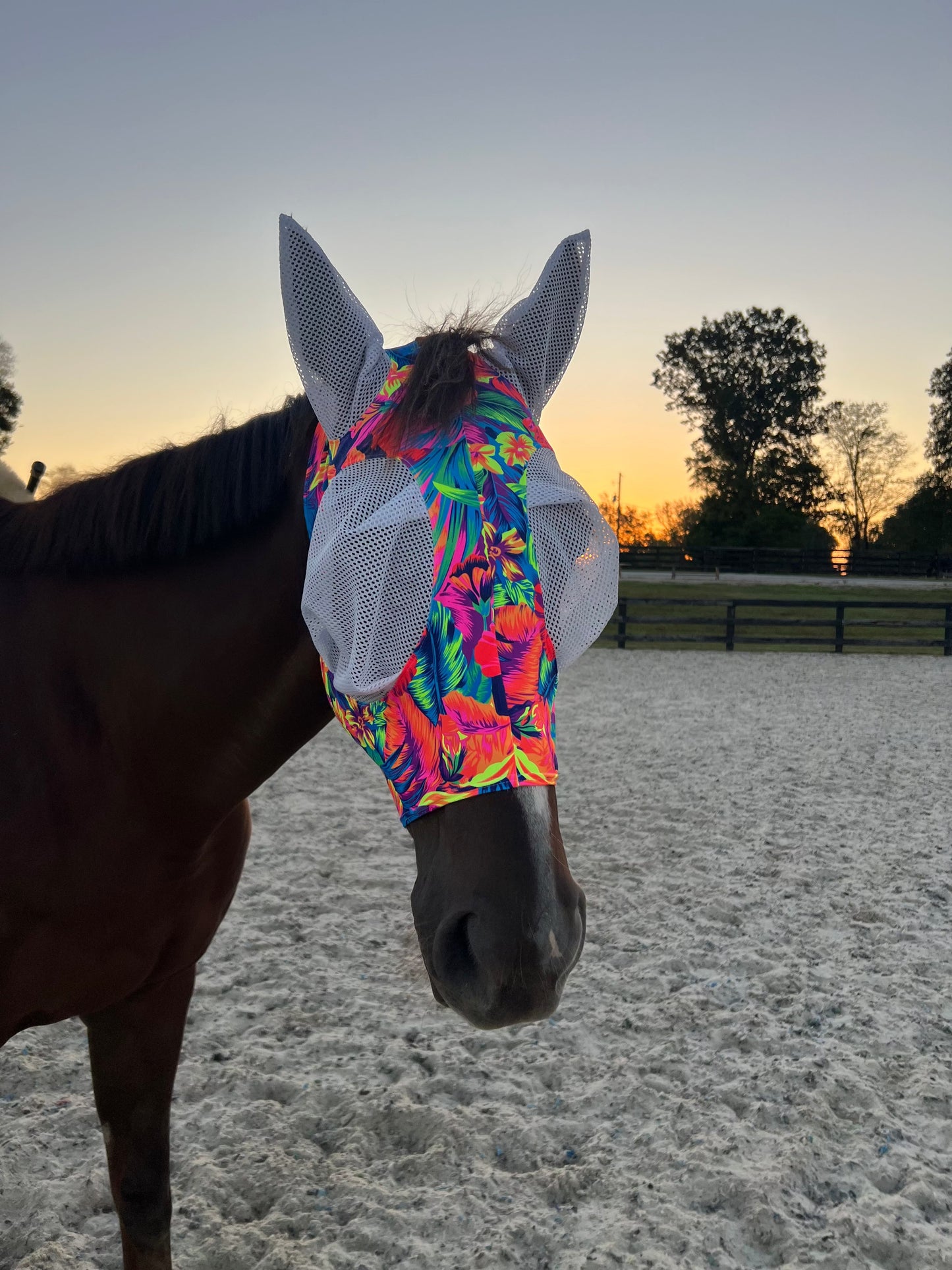 Tahitian Floral Fly Mask Fly Bonnet Riverside Rodeo Shirts