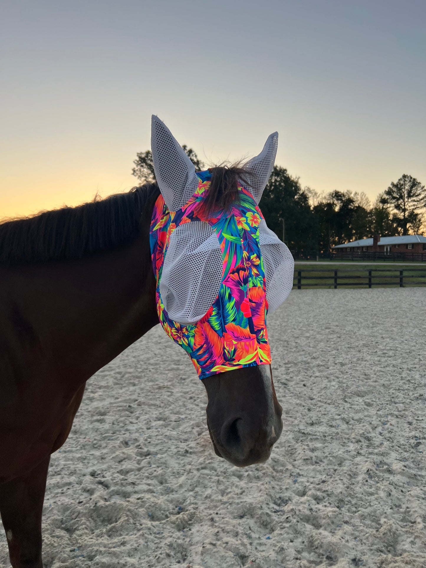 Tahitian Floral Fly Mask Fly Bonnet Riverside Rodeo Shirts
