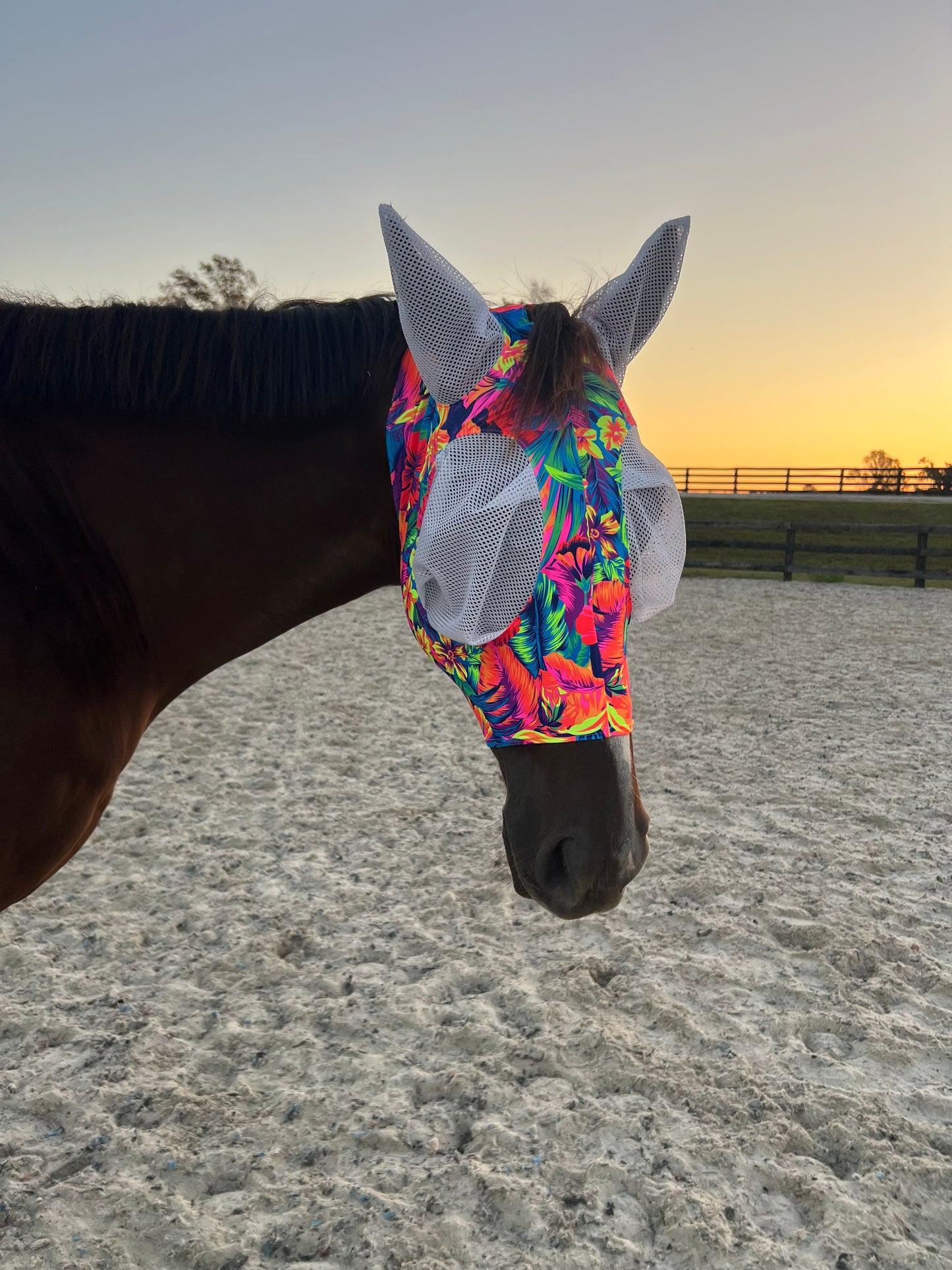 Tahitian Floral Fly Mask Fly Bonnet Riverside Rodeo Shirts