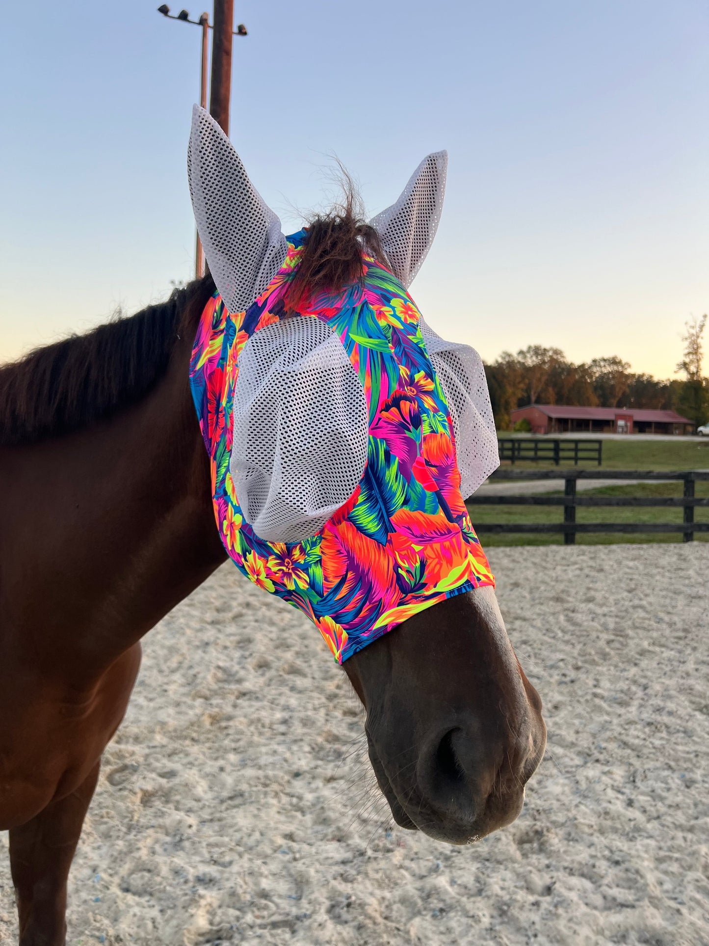 Tahitian Floral Fly Mask Fly Bonnet Riverside Rodeo Shirts