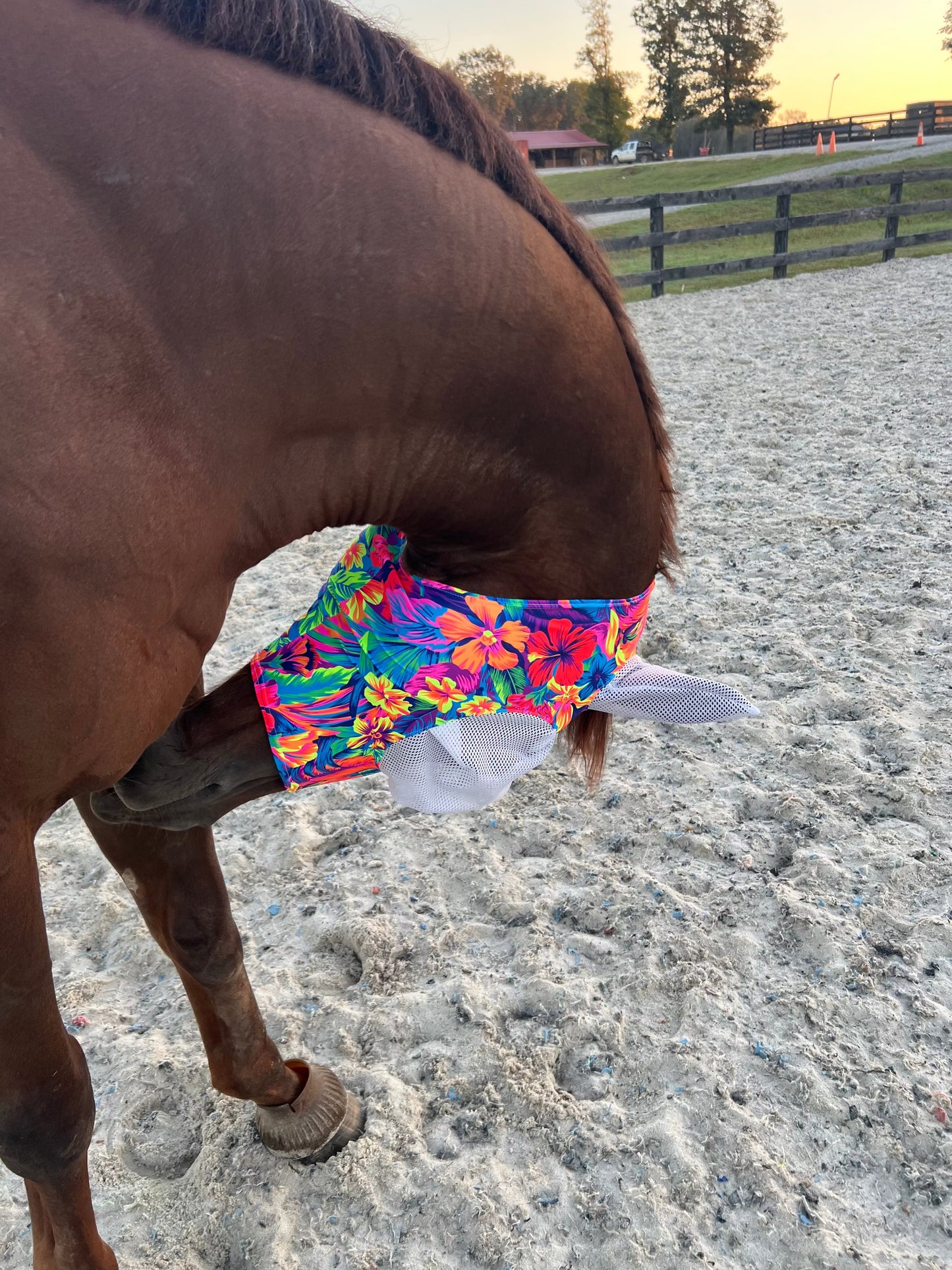 Tahitian Floral Fly Mask Fly Bonnet Riverside Rodeo Shirts