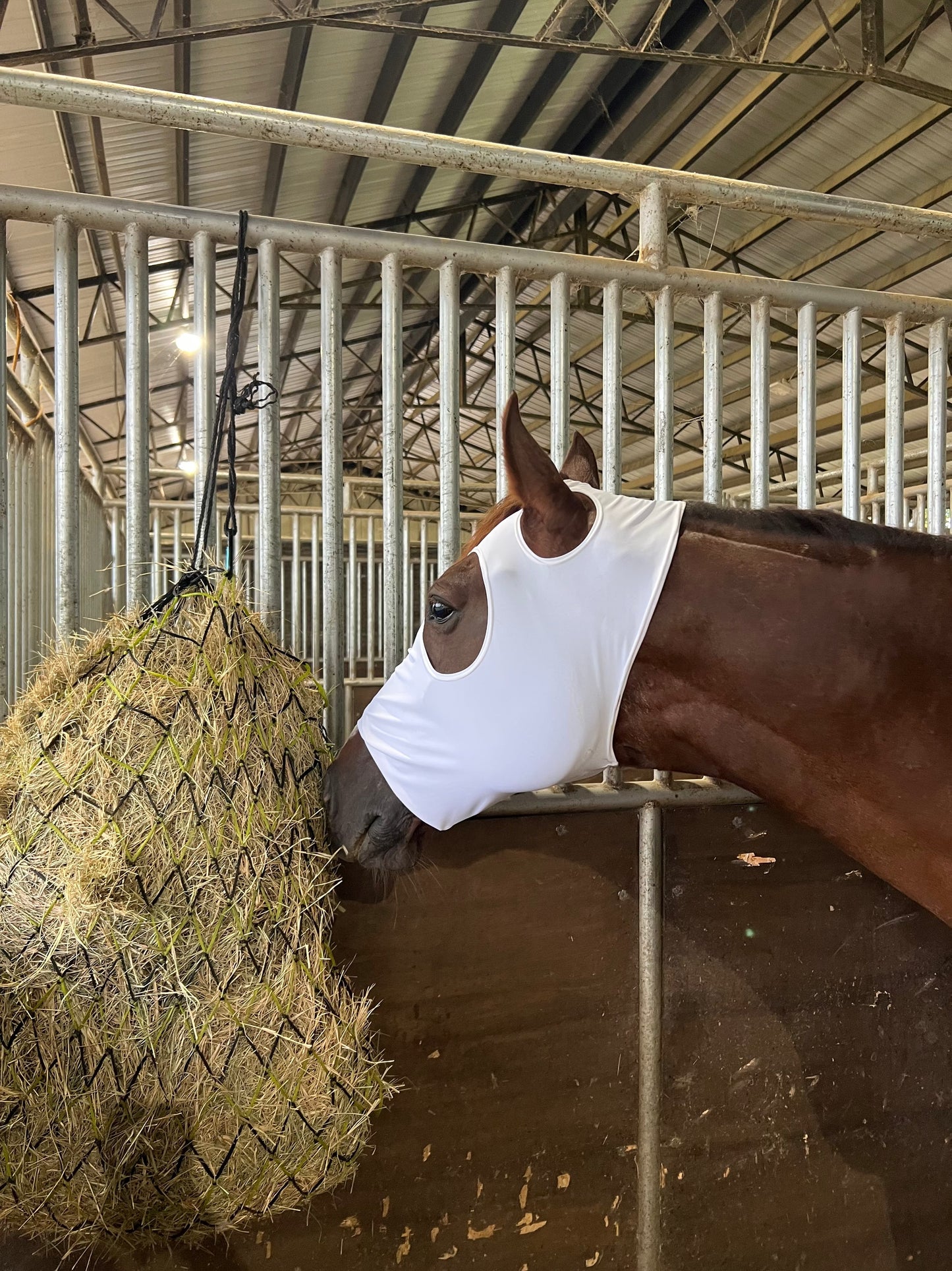 Boo! Plain White Spandex Face Mask for Horses Fly Bonnet Riverside Rodeo Shirts