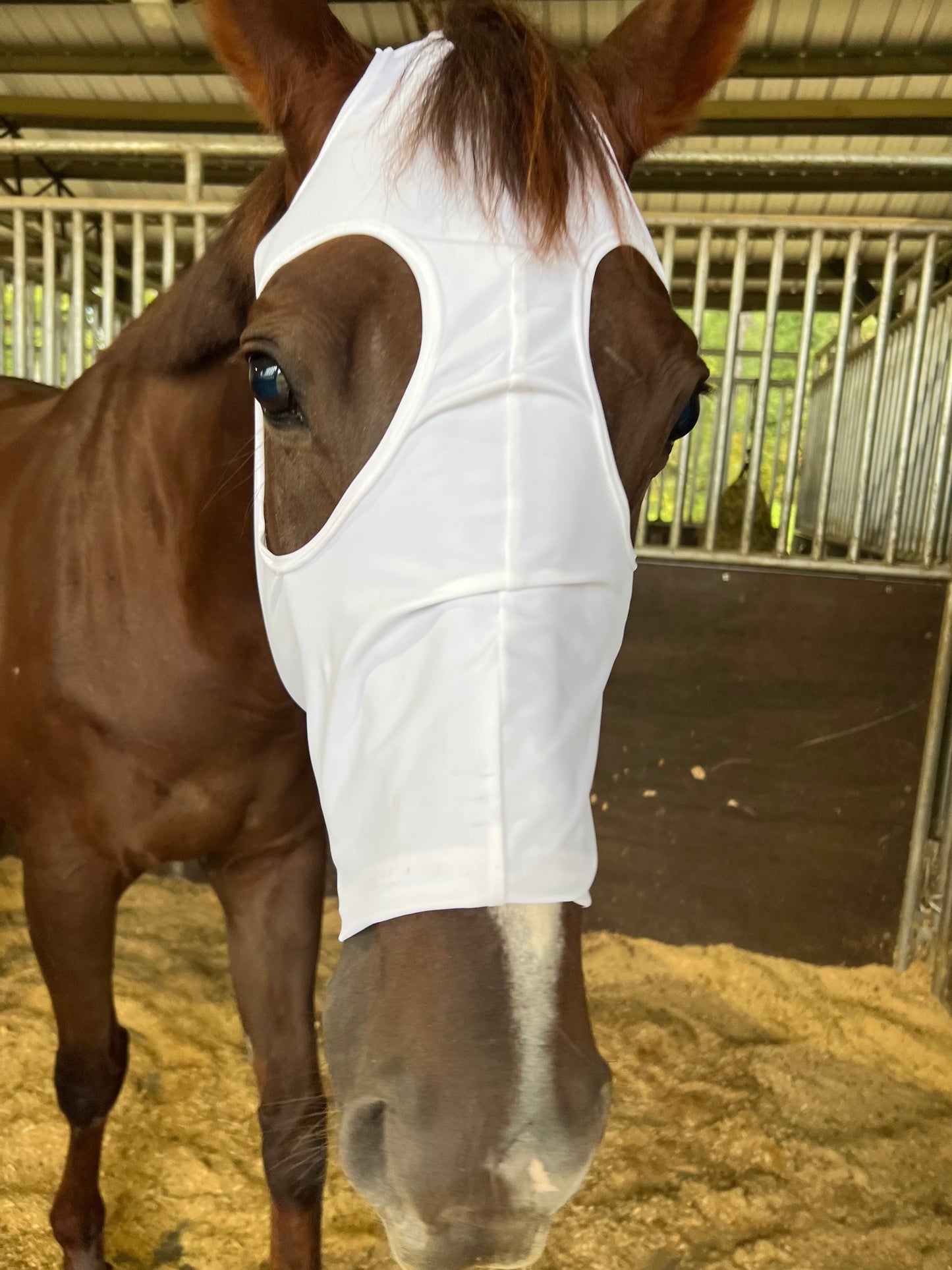 Boo! Plain White Spandex Face Mask for Horses Fly Bonnet Riverside Rodeo Shirts