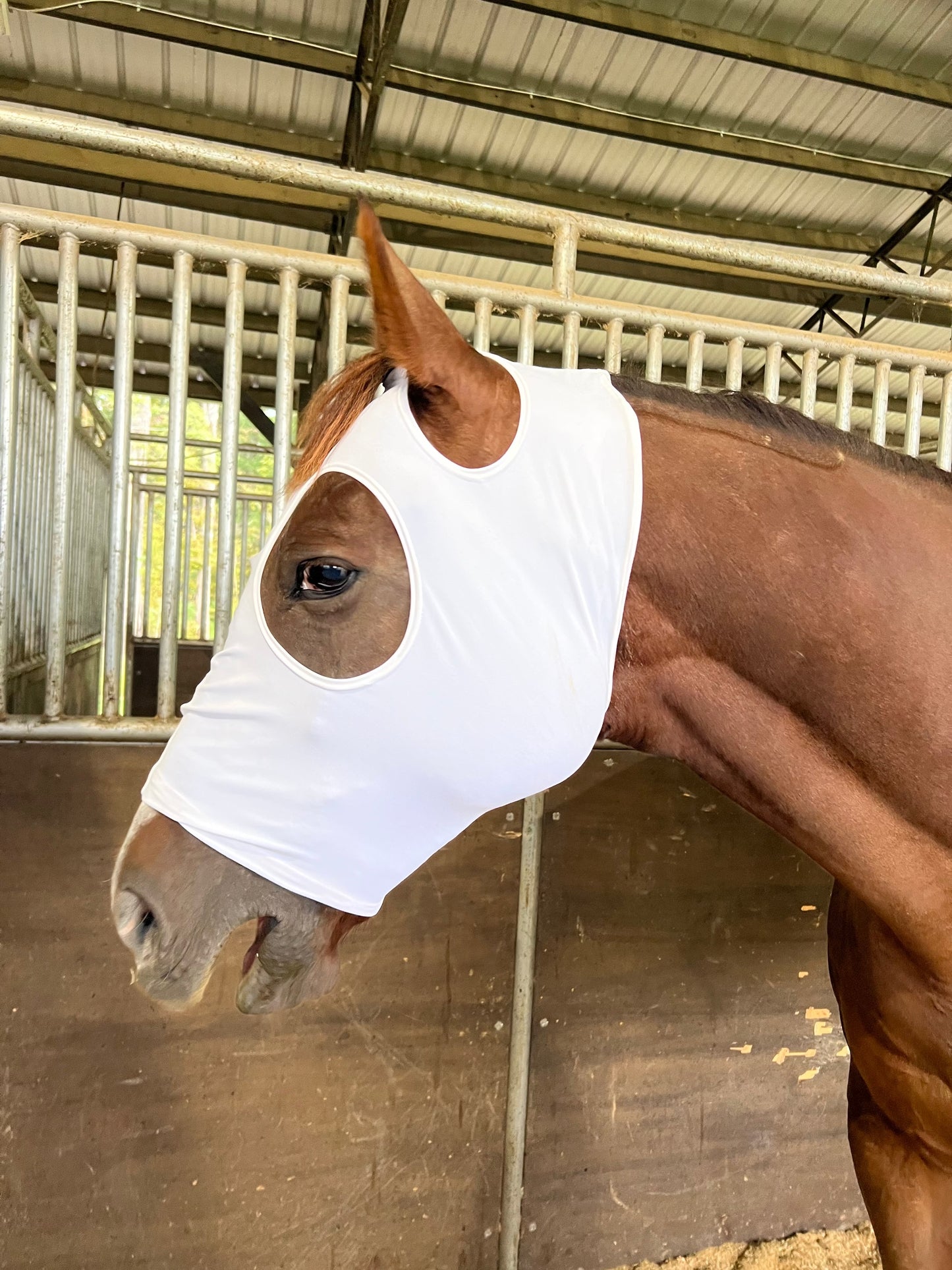 Boo! Plain White Spandex Face Mask for Horses Fly Bonnet Riverside Rodeo Shirts