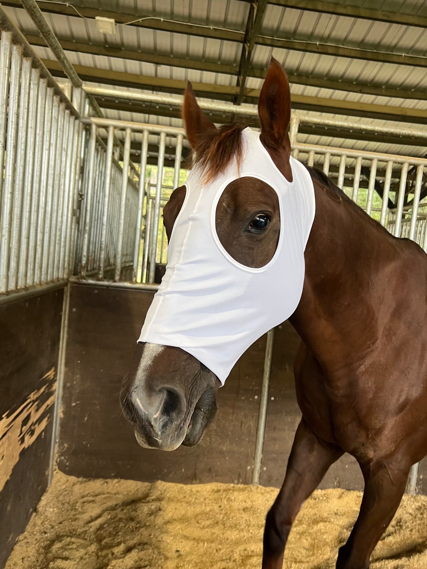 Boo! Plain White Spandex Face Mask for Horses Fly Bonnet Riverside Rodeo Shirts