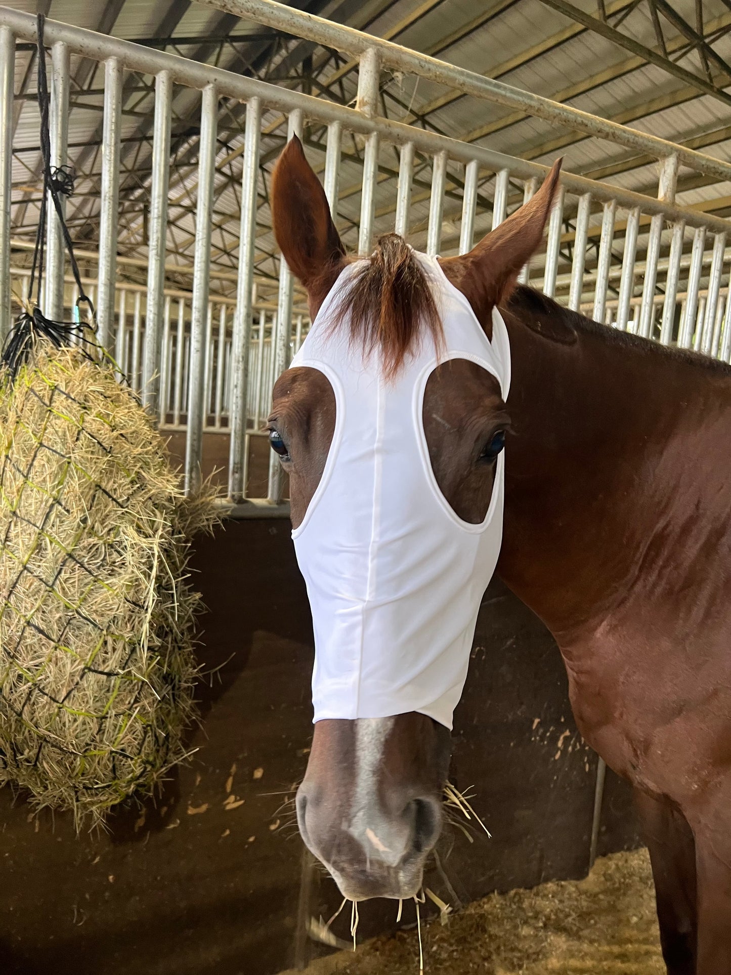 Boo! Plain White Spandex Face Mask for Horses Fly Bonnet Riverside Rodeo Shirts
