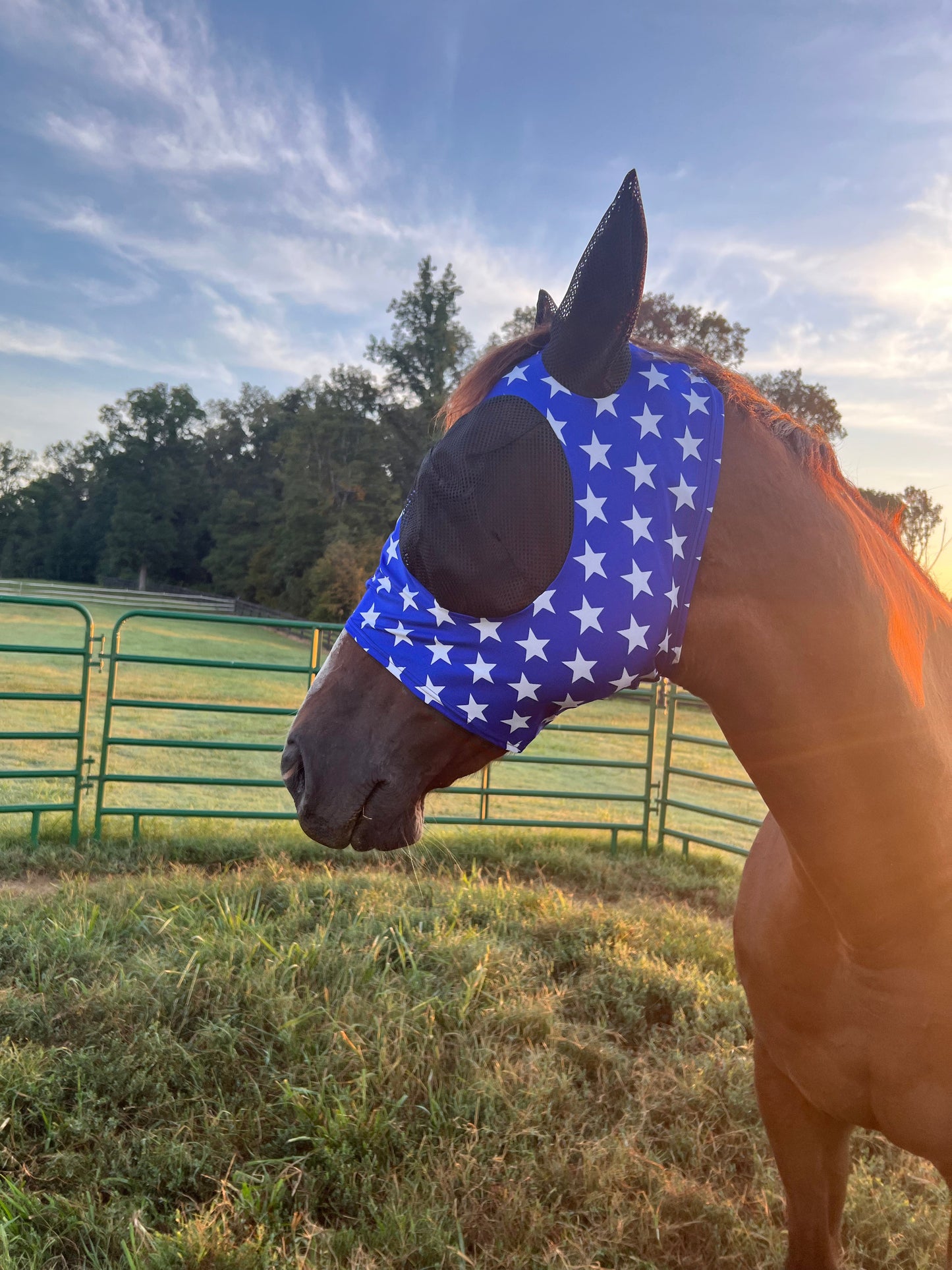 Blue and White Stars Fly Mask Fly Bonnet Riverside Rodeo Shirts