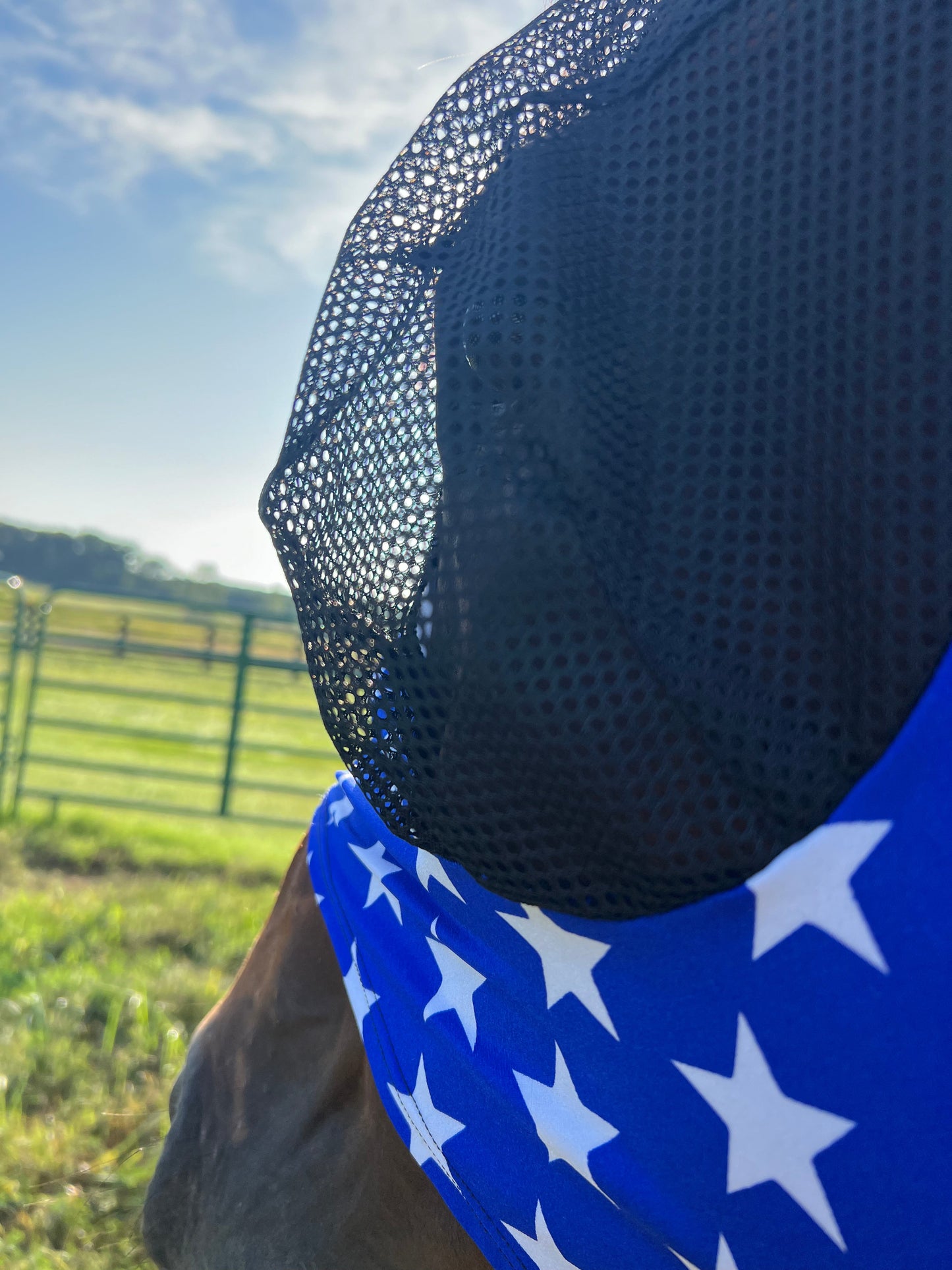 Blue and White Stars Fly Mask Fly Bonnet Riverside Rodeo Shirts