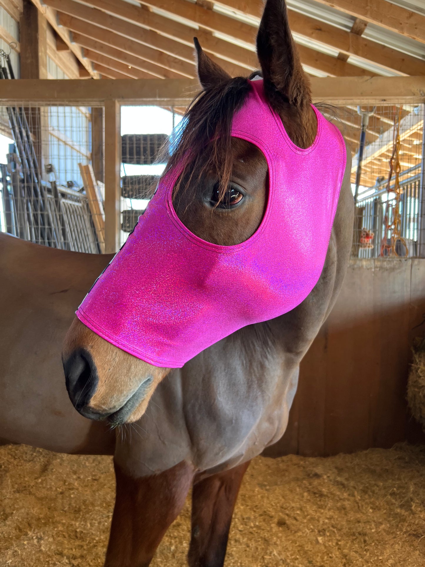 Neon Pink and Diamond Spandex Face Mask for Horses