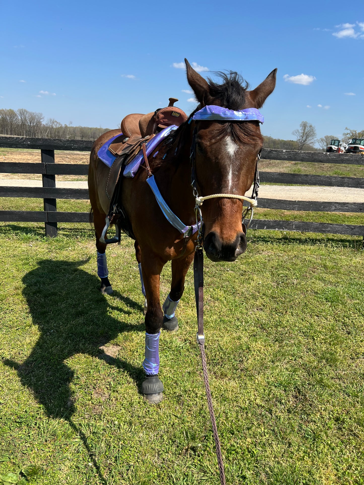 Lavender Ice Browband or Noseband Cover (ONE Cover Only)