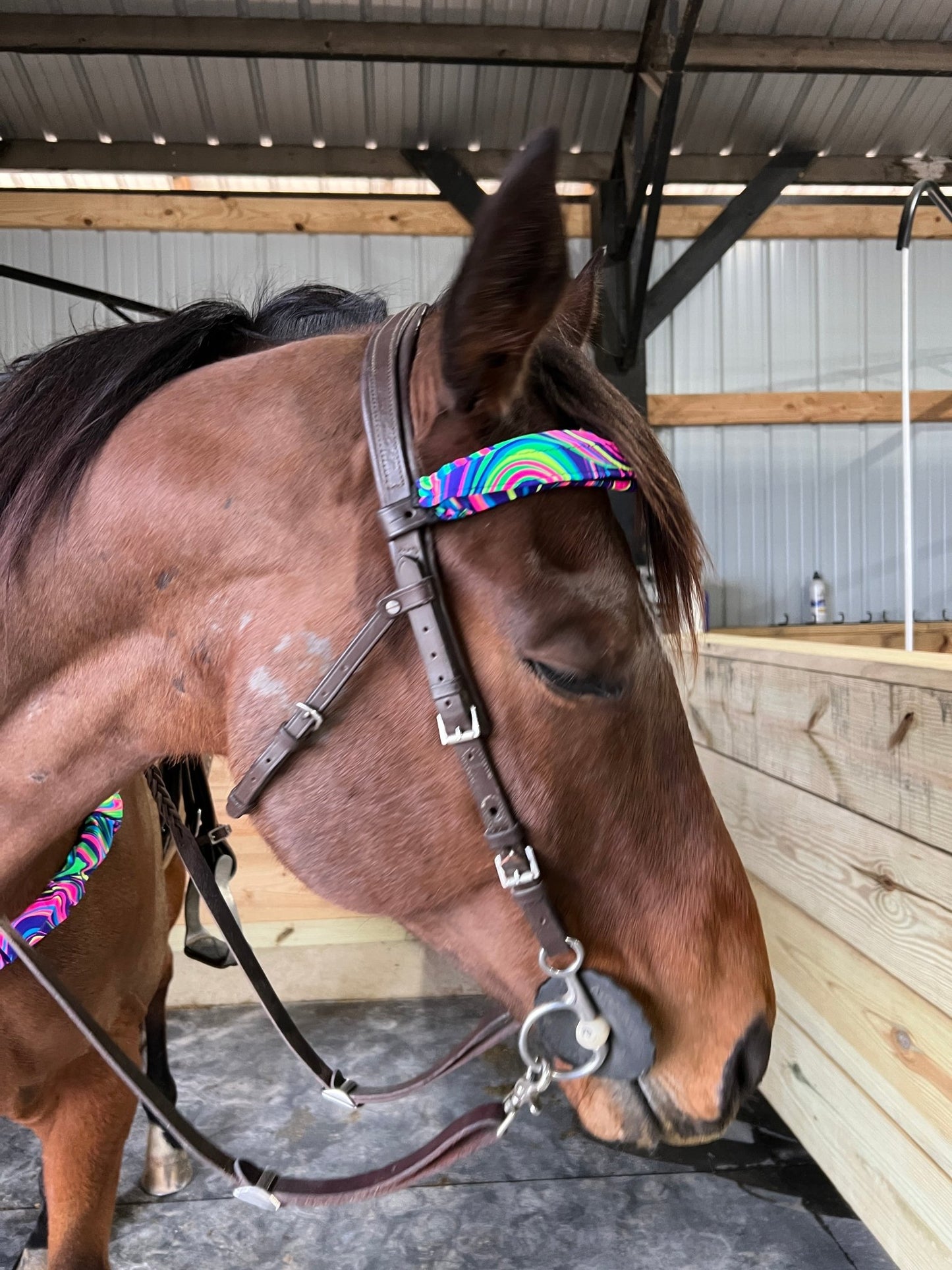 Glow Worm Print Browband or Noseband Cover (ONE Cover Only) - Riverside Rodeo Shirts