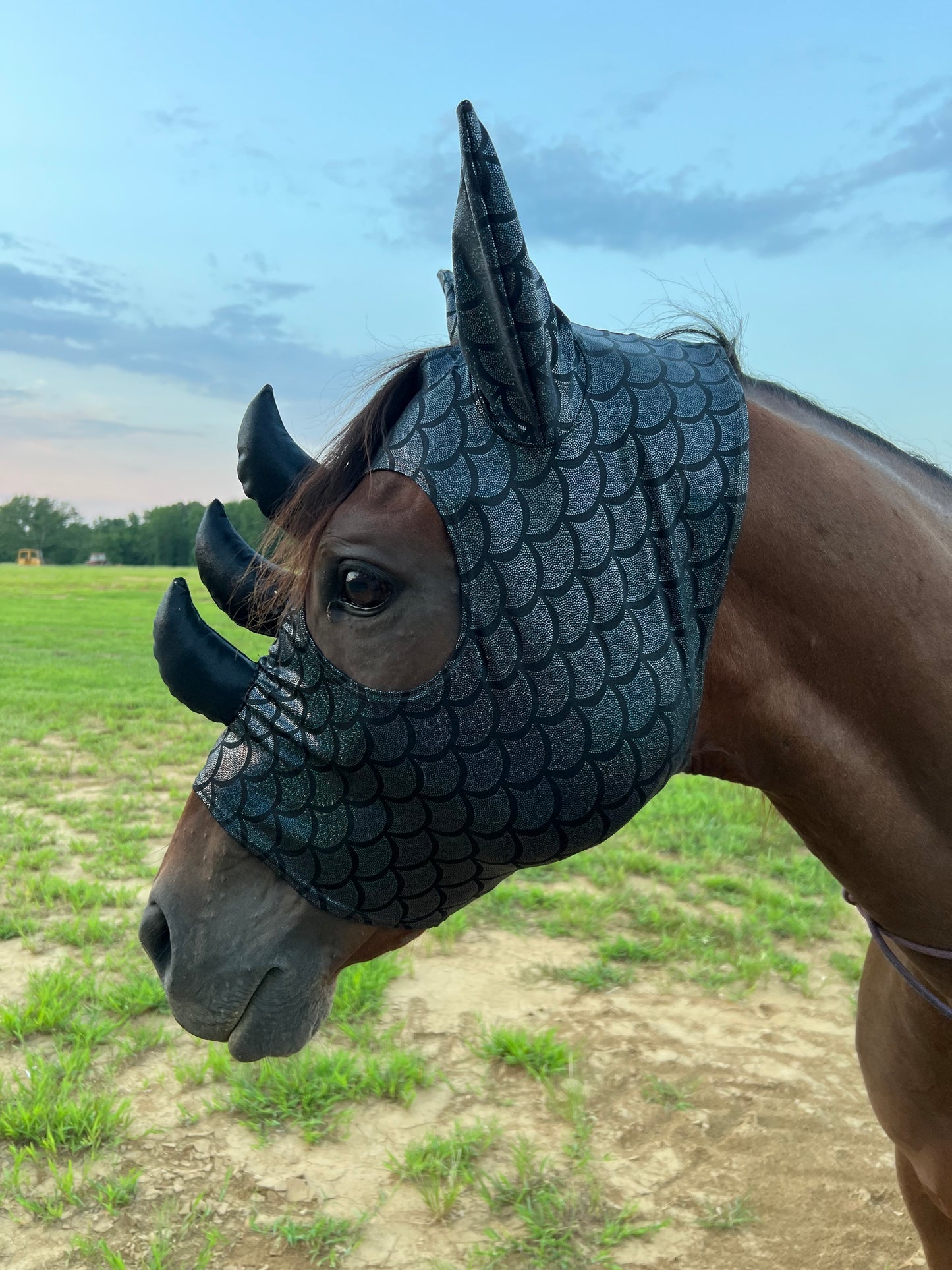 Black Dragon Scale Triple Horn Dragon Costume Mask for Horses