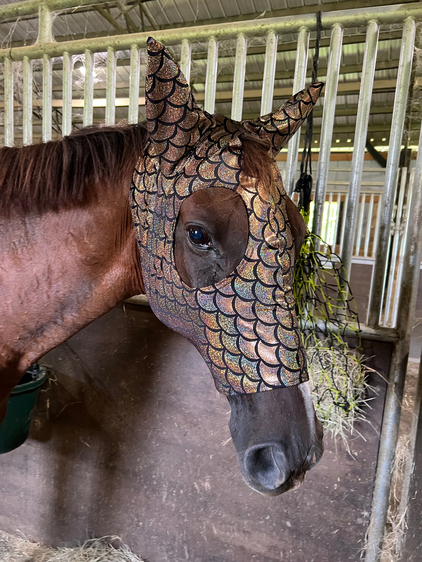 Gold Dragon Scale Spandex Face Mask for Horses