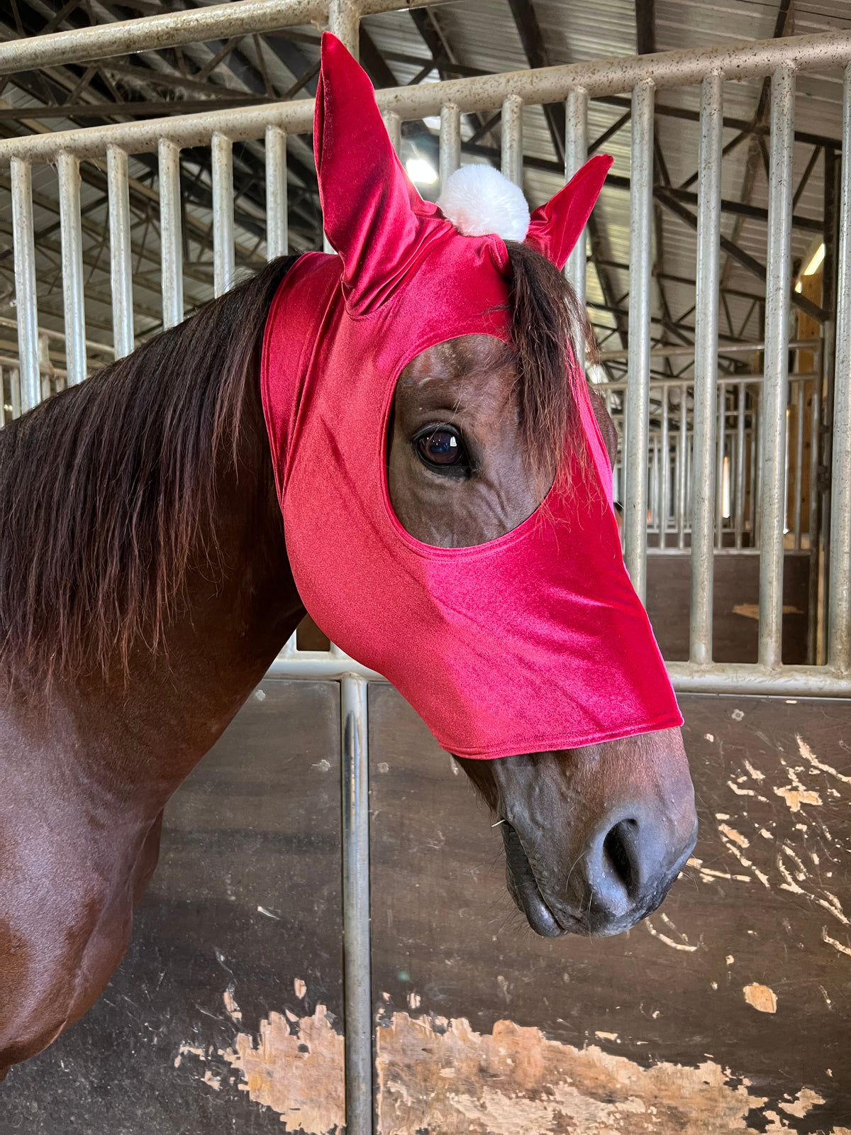 Santa Hat Costume Mask for Horses