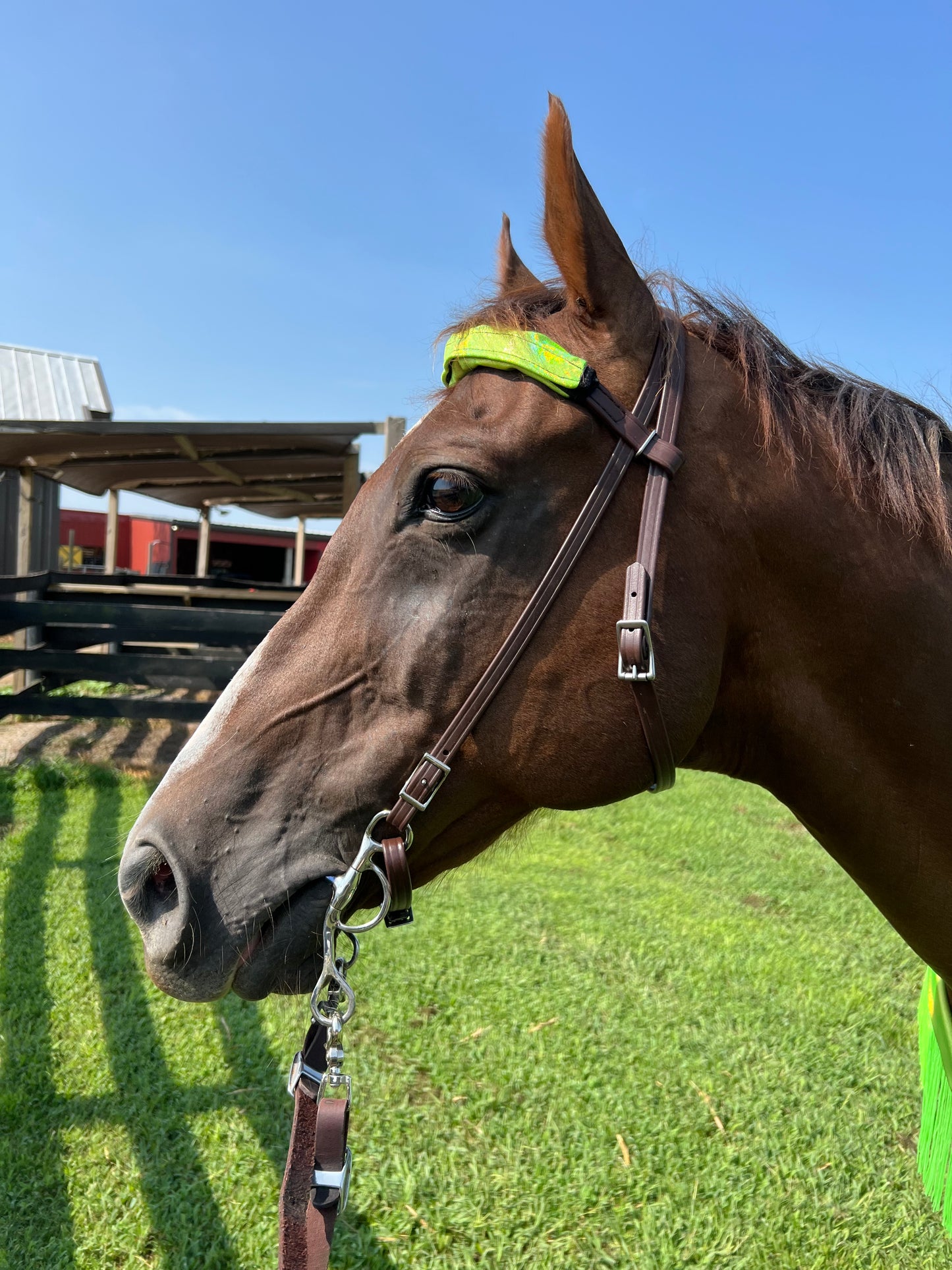 Neon Lime Green Holographic Browband or Noseband Cover (ONE Cover Only)