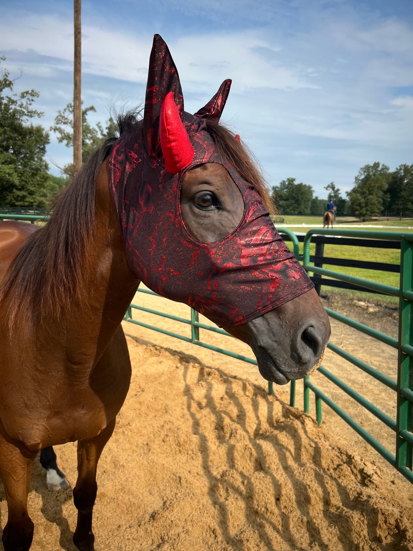 Red Devil Costume Mask for Horses