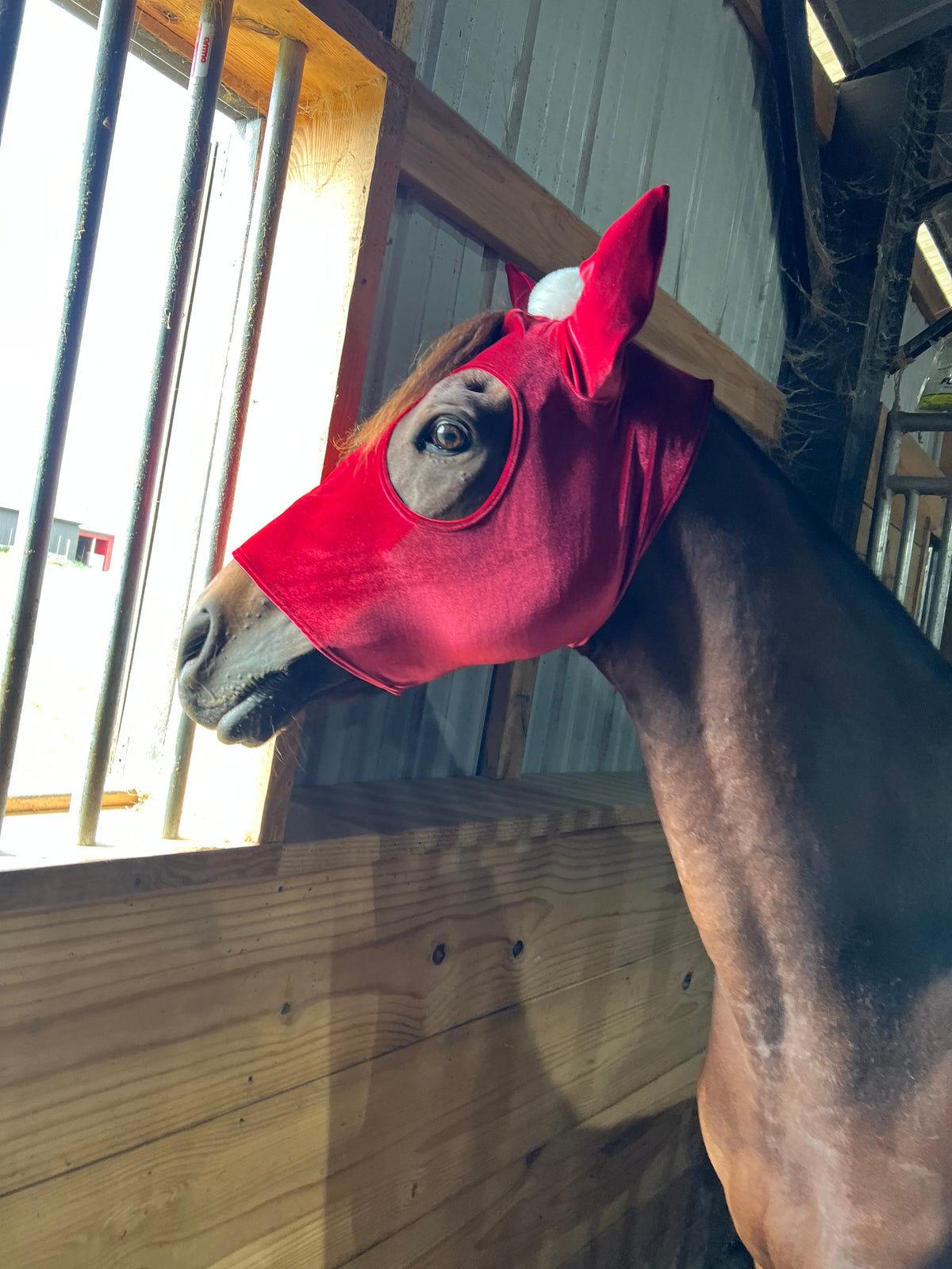 Santa Hat Costume Mask for Horses