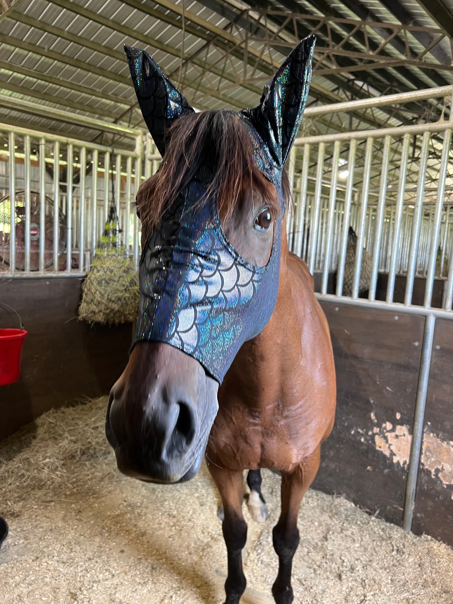 Black Dragon Scale Spandex Face Mask for Horses