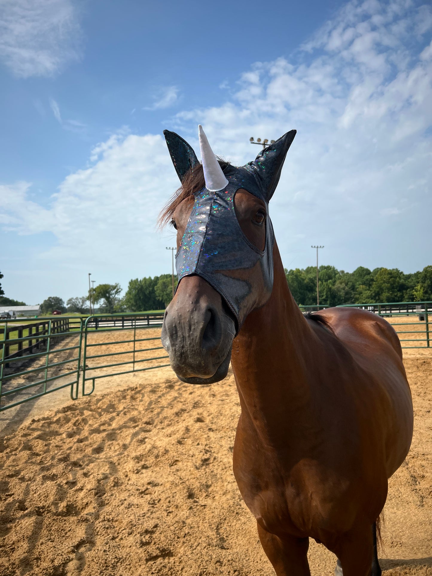 Black Kaleidoscope Unicorn Costume Mask for Horses