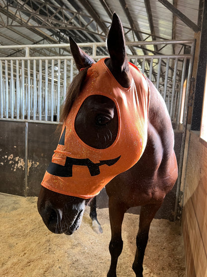 Jack O Lantern Pumpkin Costume Mask for Horses