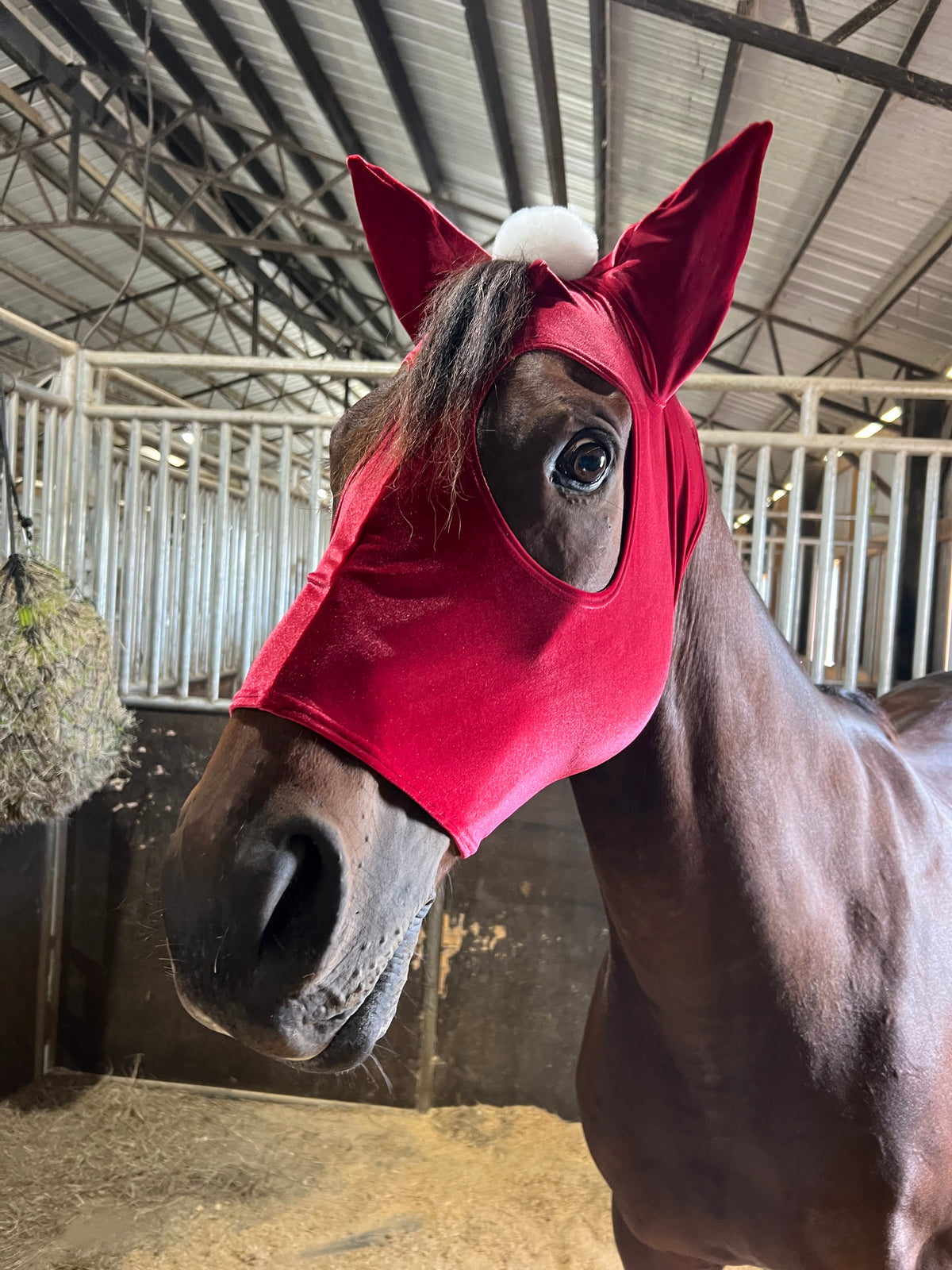 Santa Hat Costume Mask for Horses
