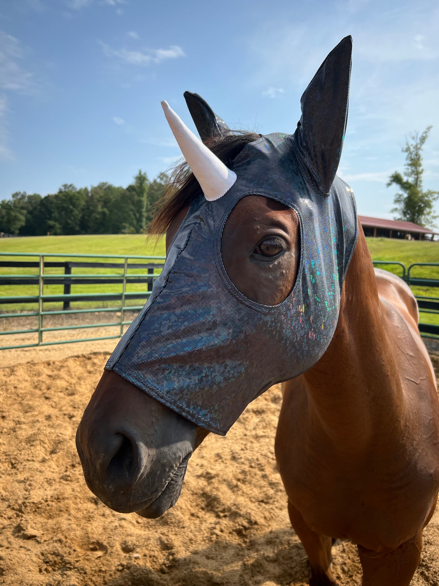 Black Kaleidoscope Unicorn Costume Mask for Horses