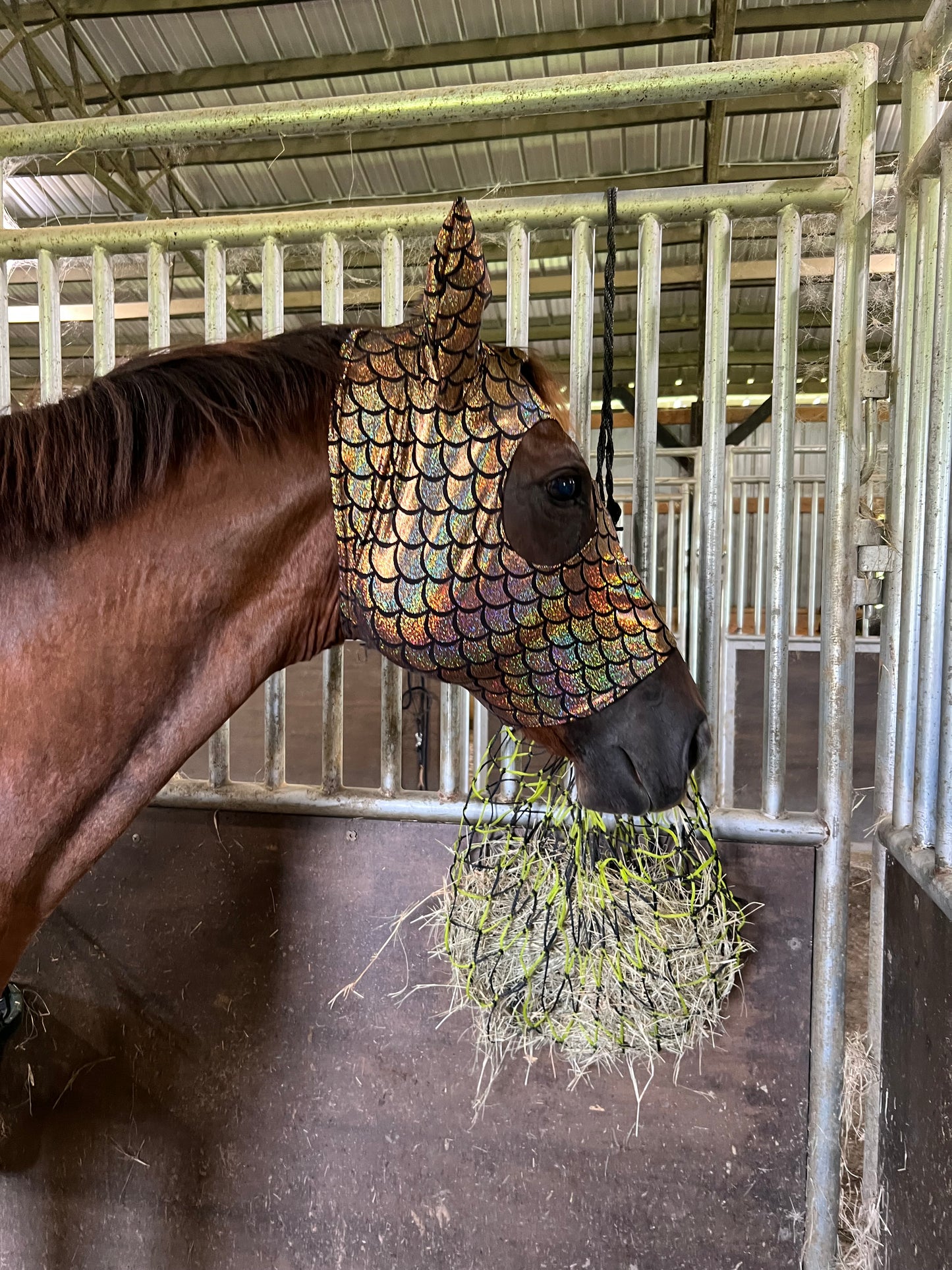 Gold Dragon Scale Spandex Face Mask for Horses