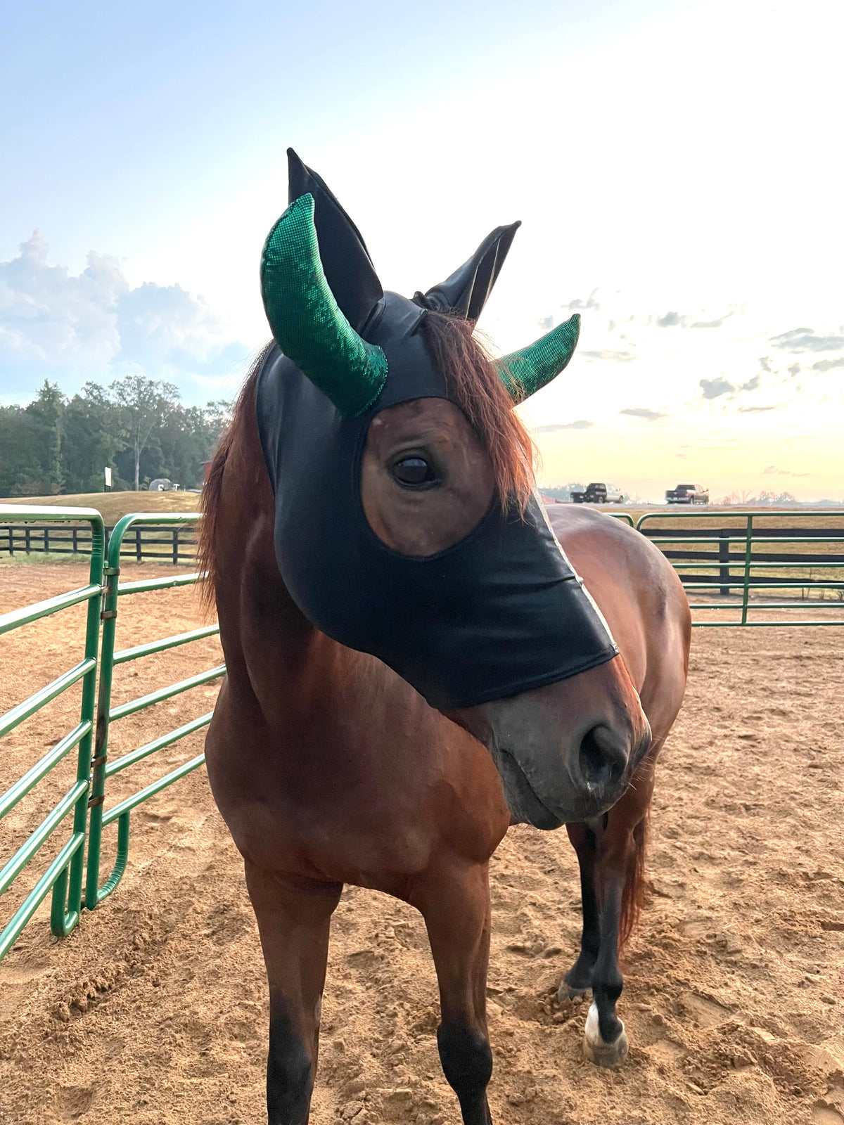 Roping Dummy Costume Mask for Horses
