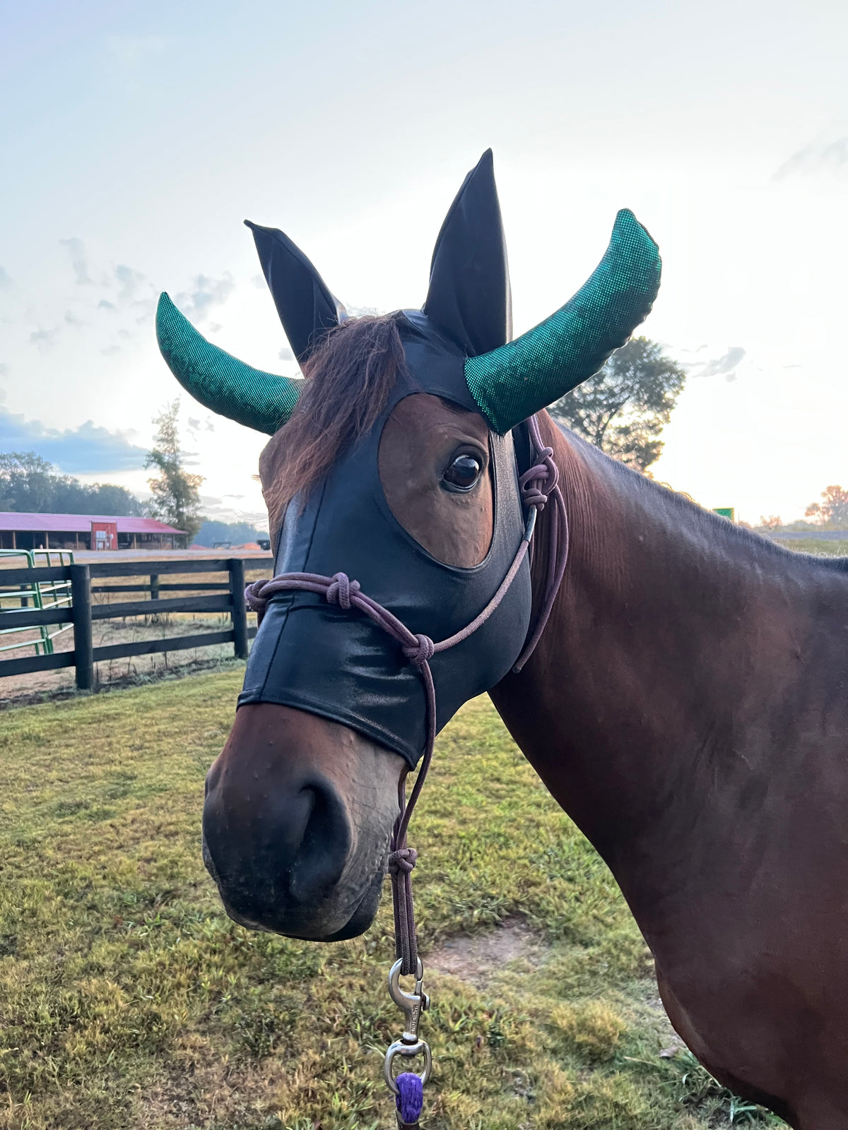 Roping Dummy Costume Mask for Horses
