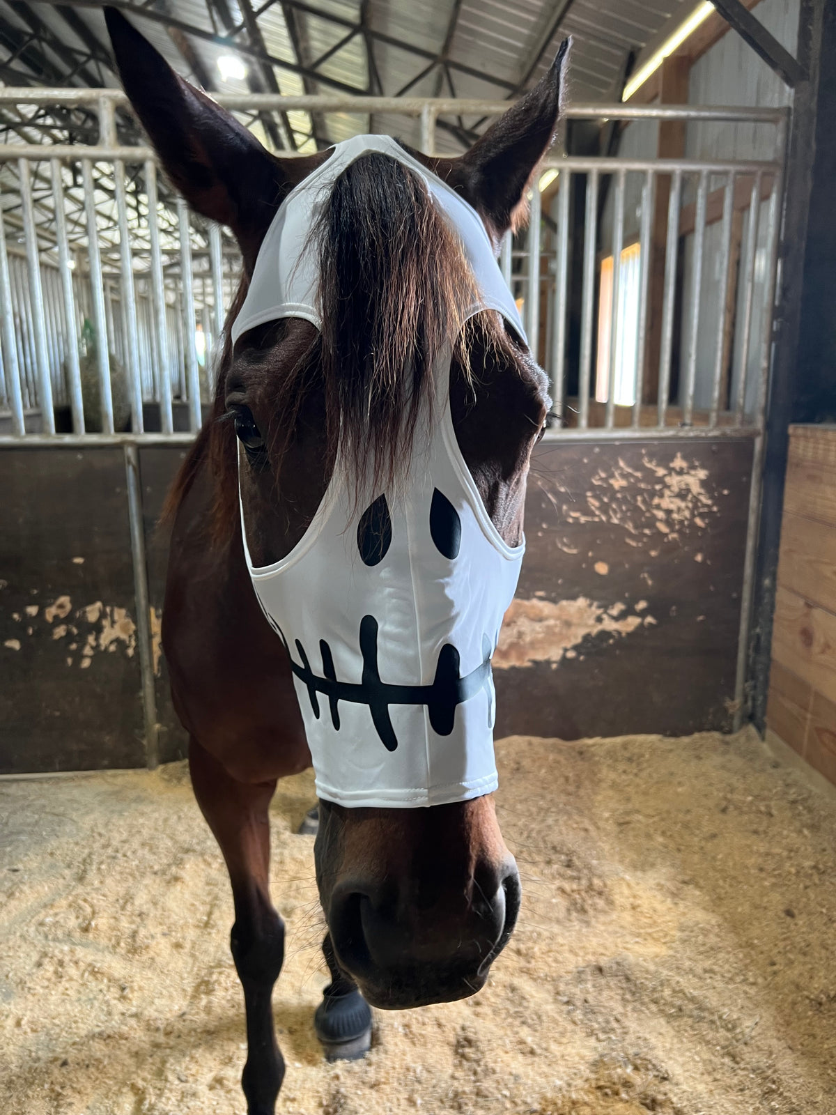 Skeleton Costume Mask for Horses