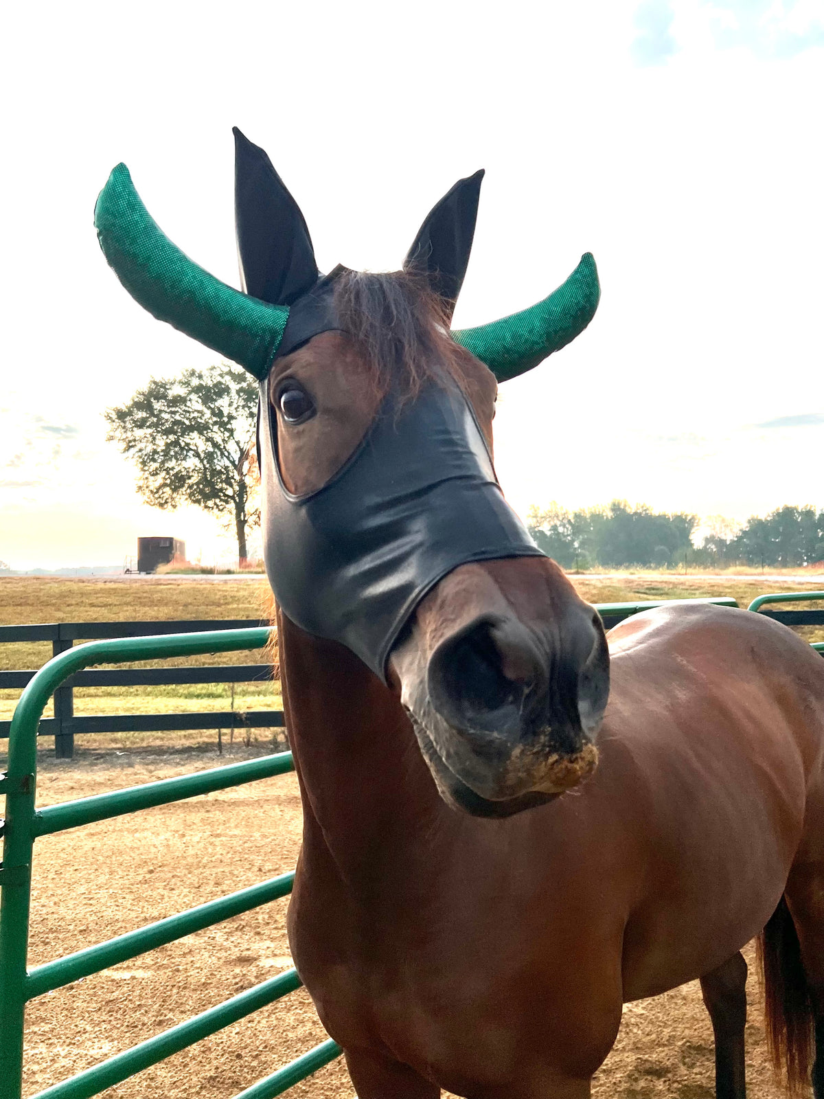 Roping Dummy Costume Mask for Horses